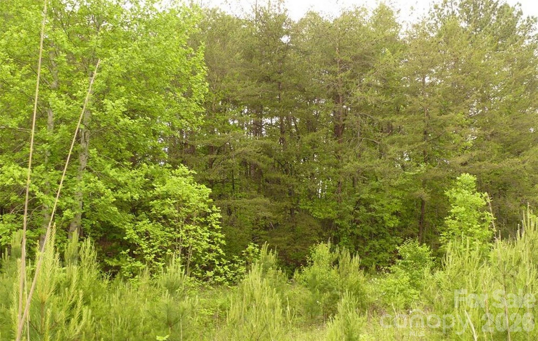Acreage at 0 Vineyards Way, Lake Lure, photo 12 of 15