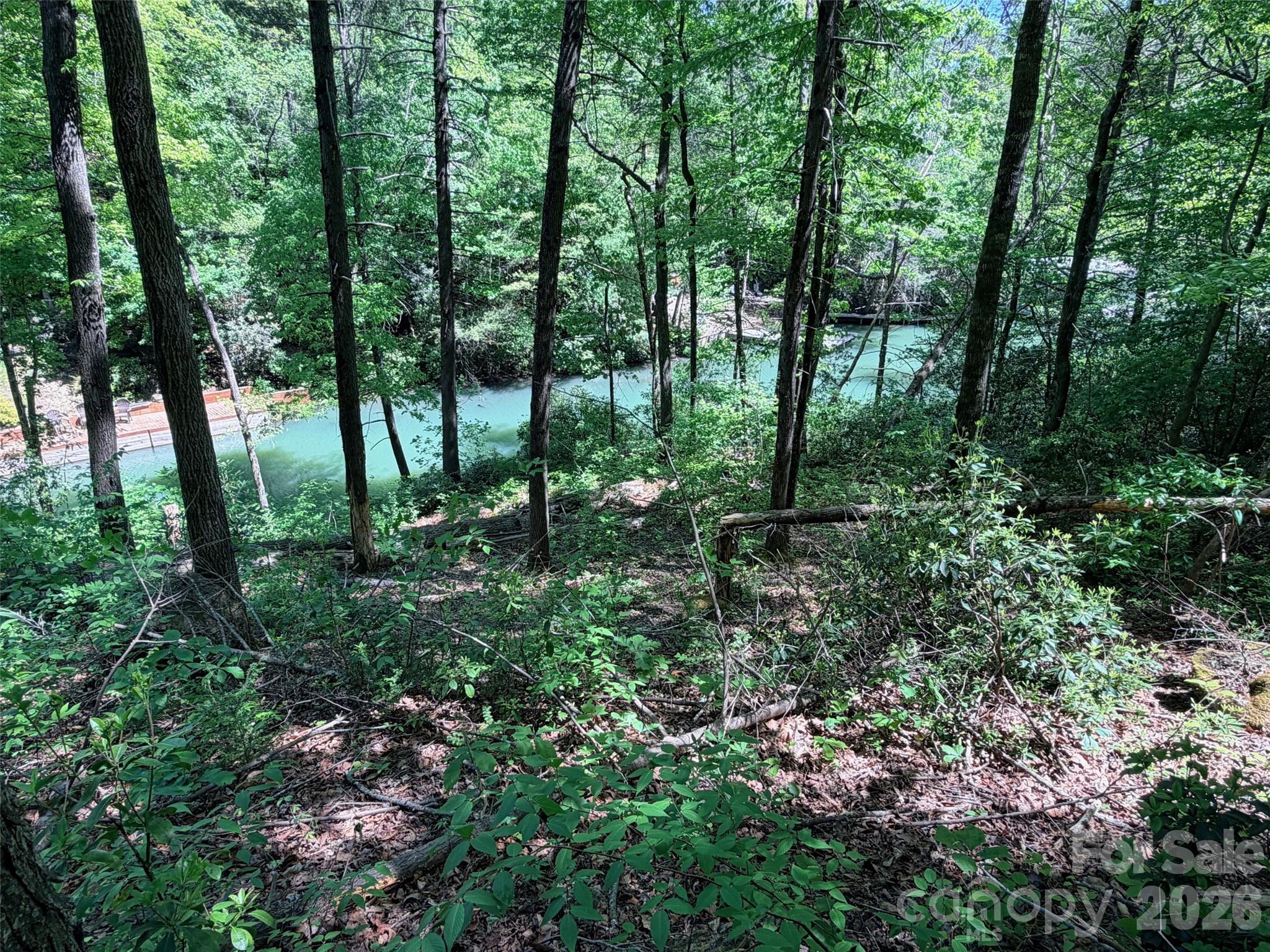 Lot at 595 Quail Ridge Boulevard, Lake Lure, photo 2 of 29