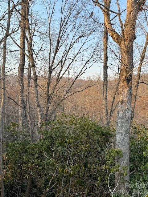 Lot at 910 Morgan Hill Road, Black Mountain, photo 3 of 4