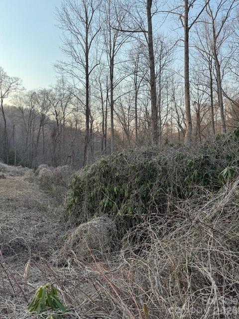 Lot at 910 Morgan Hill Road, Black Mountain, photo 4 of 4