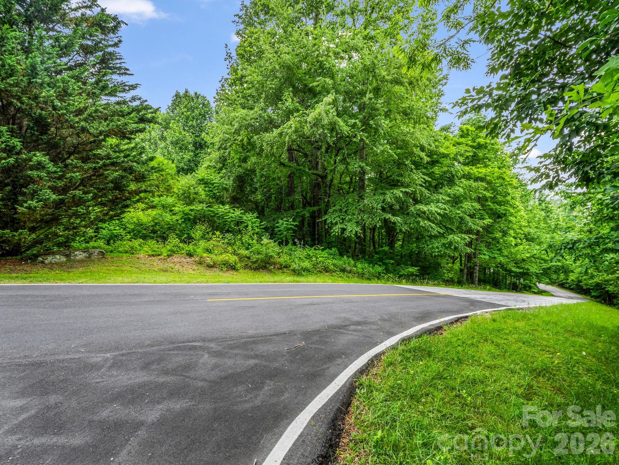 Lot at 168 Tarnhill Drive, Flat Rock, photo 4 of 32