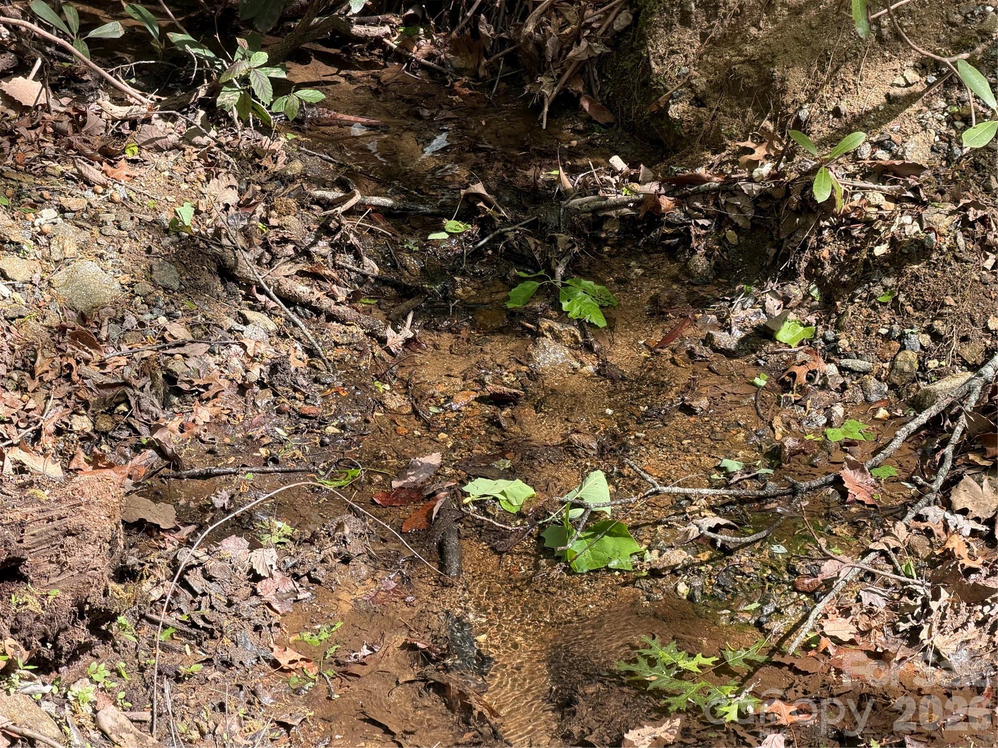 This small stream is to the left of the driveway and is the left boundary of lot 414. - 00 Lakeview Drive, Tryon