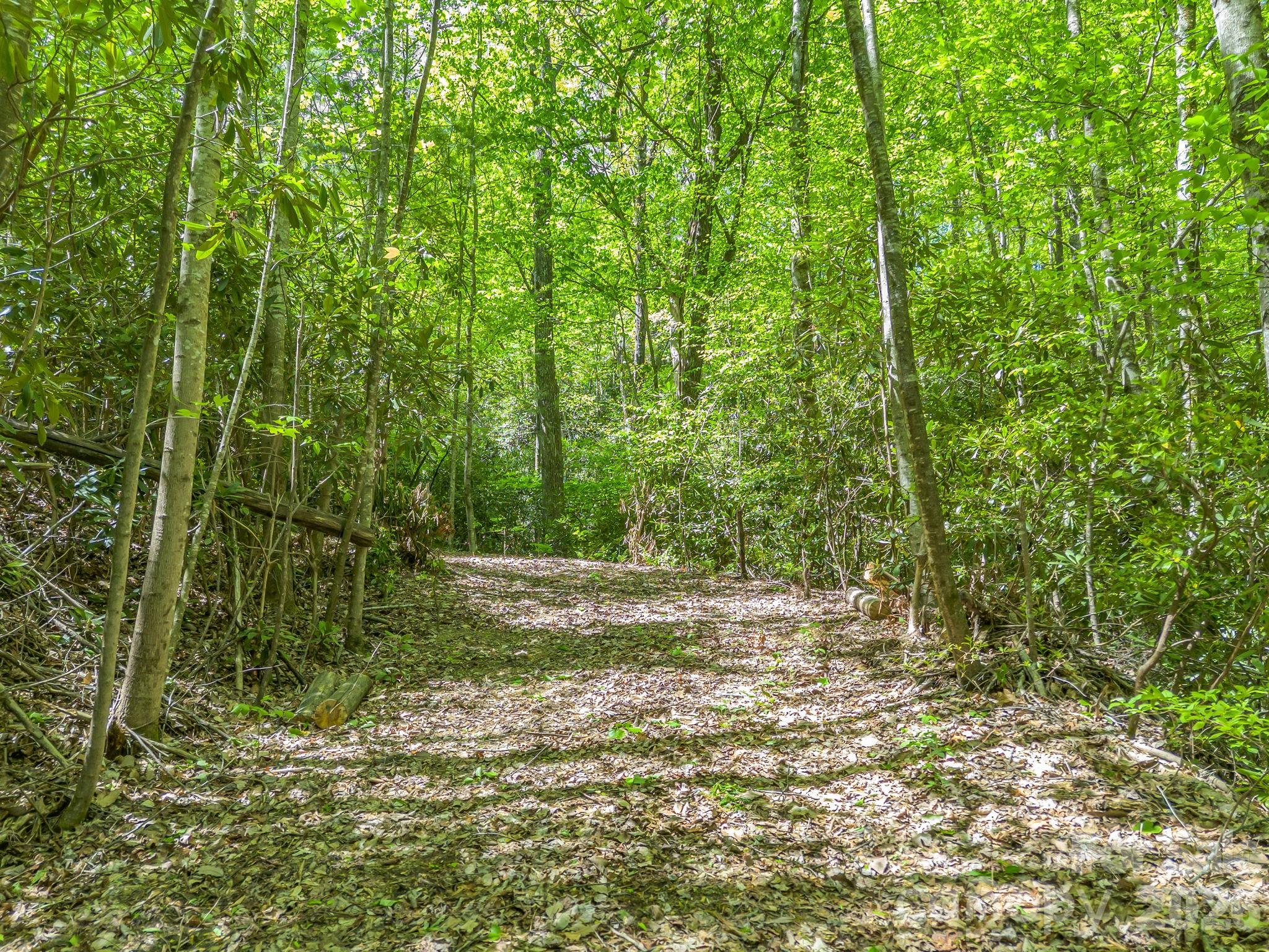Driveway turns left up the mountain and continues across lot 414 past potential building sites. - 00 Lakeview Drive, Tryon