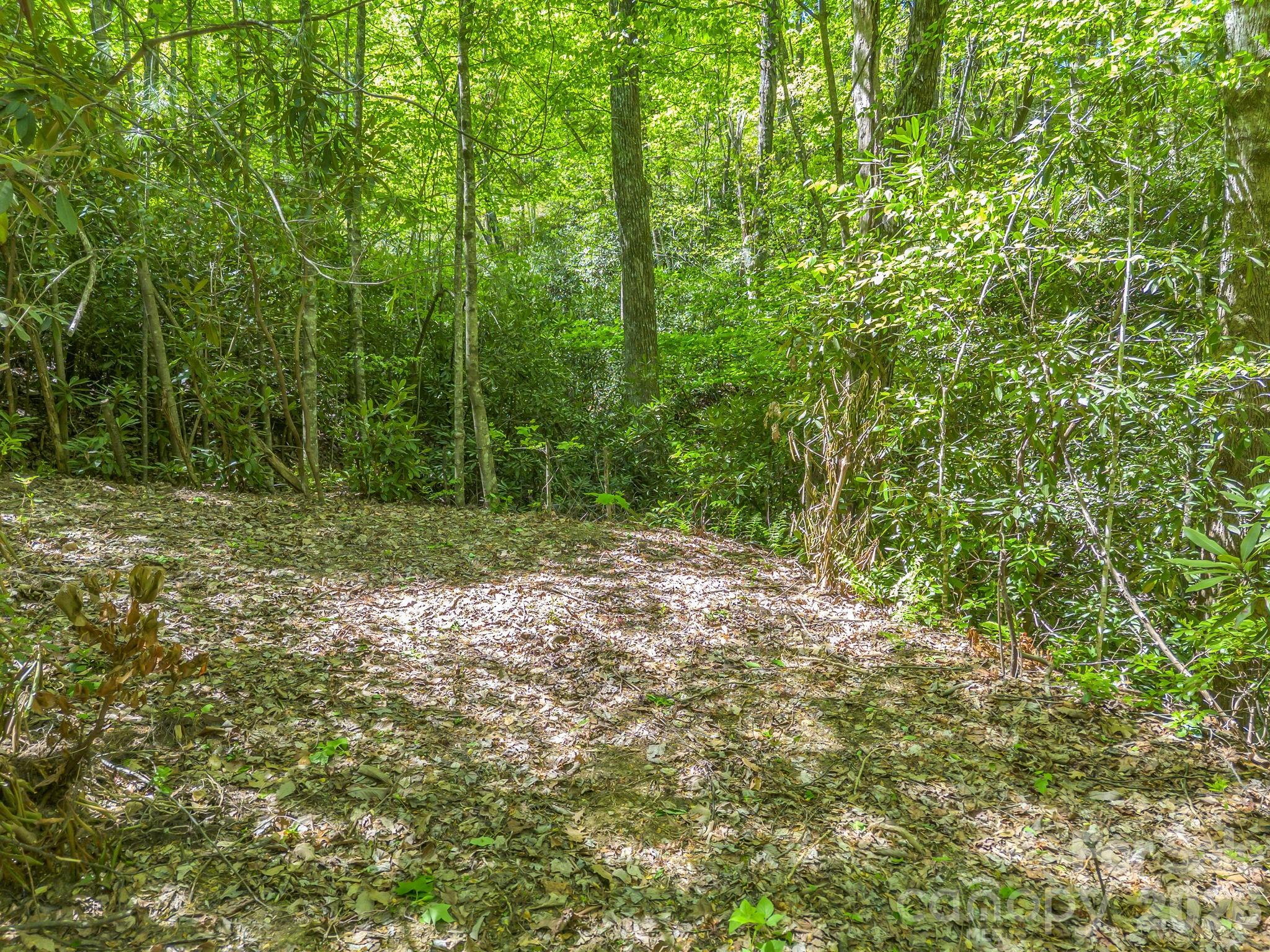 Part of the old logging road that connects to the driveway. - 00 Lakeview Drive, Tryon