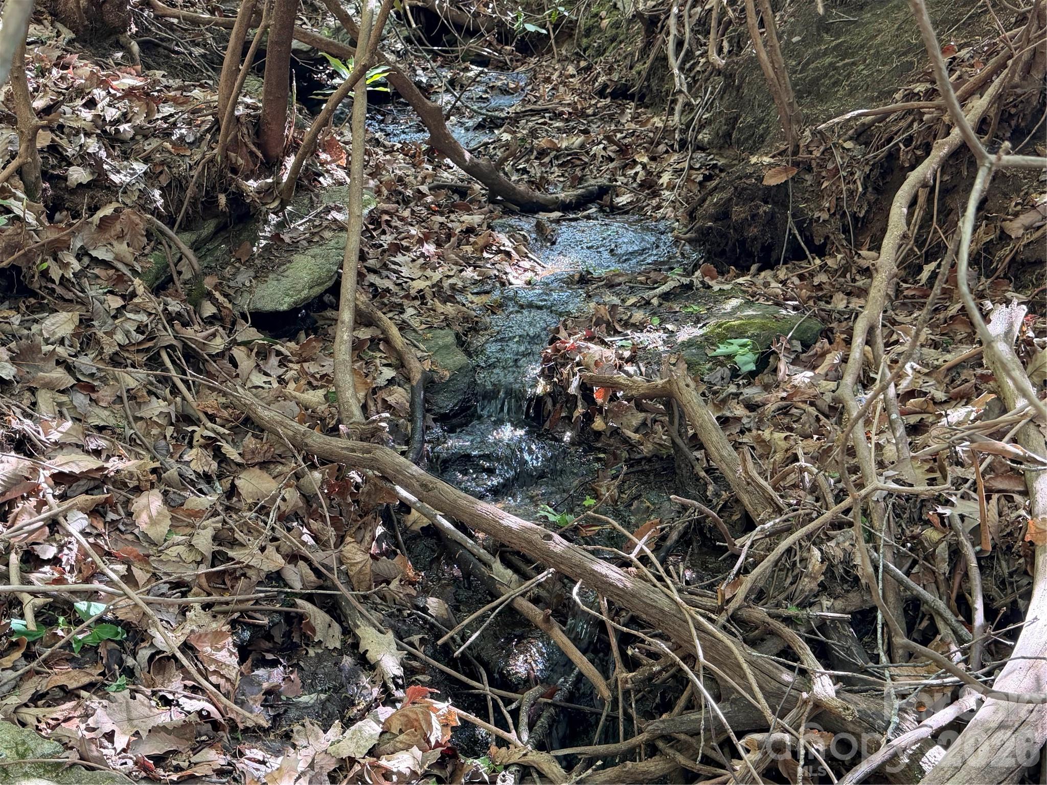 Stream crossing the logging road, looking upstream. - 00 Lakeview Drive, Tryon