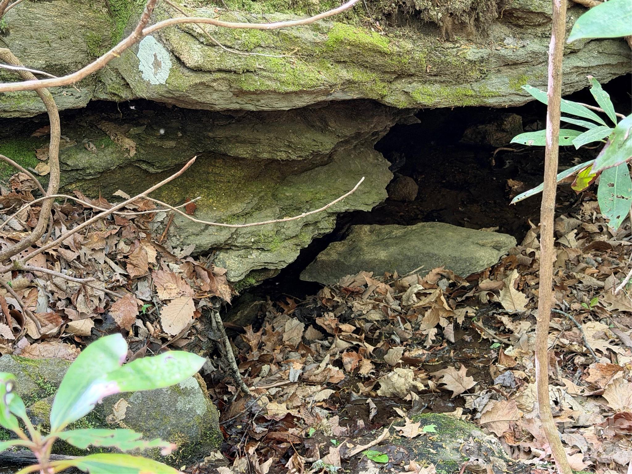 Downstream from the logging road the stream cuts under rock ledges. - 00 Lakeview Drive, Tryon