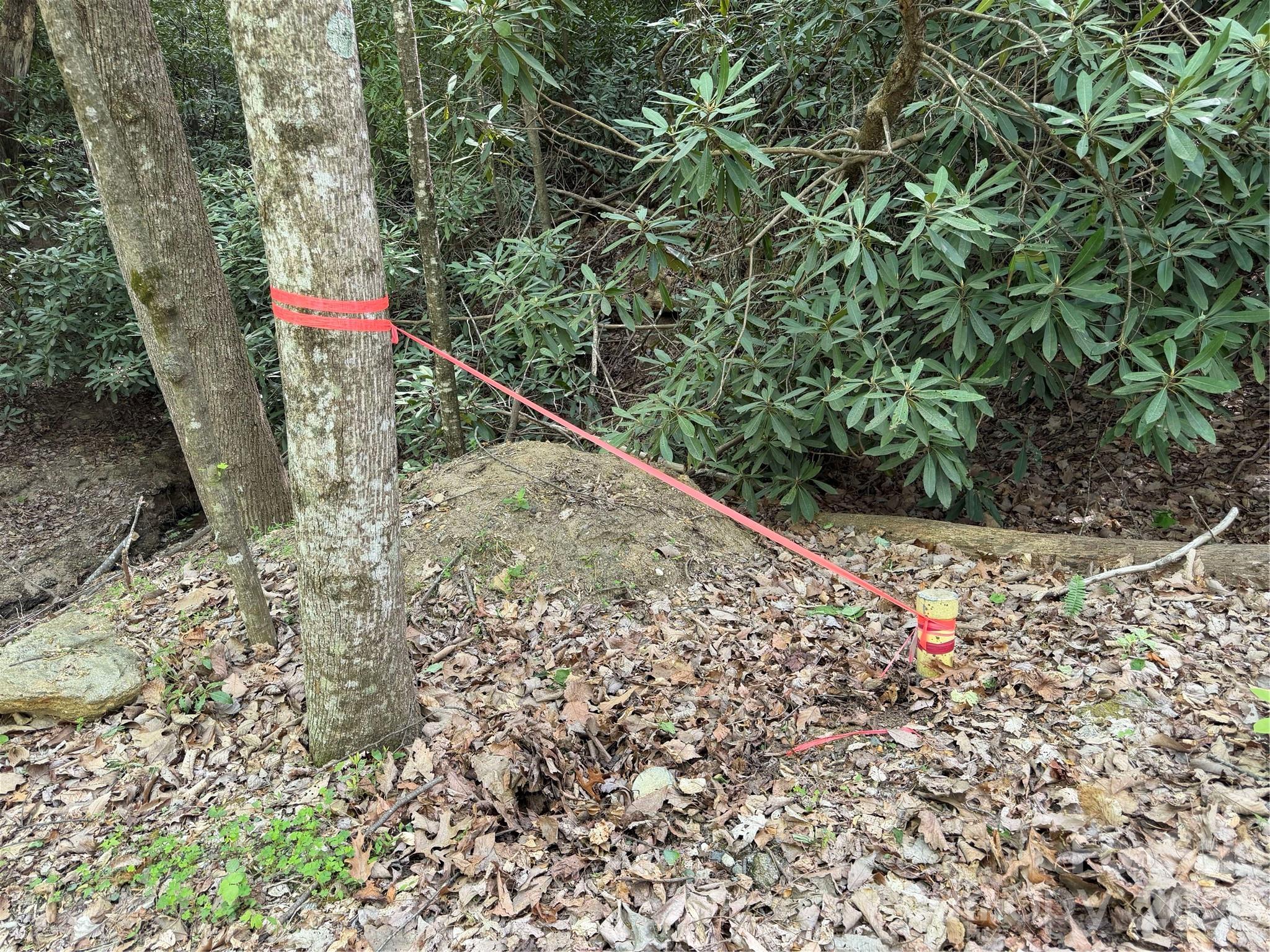 Back out on the road, this is the start of lot 415. - 00 Lakeview Drive, Tryon