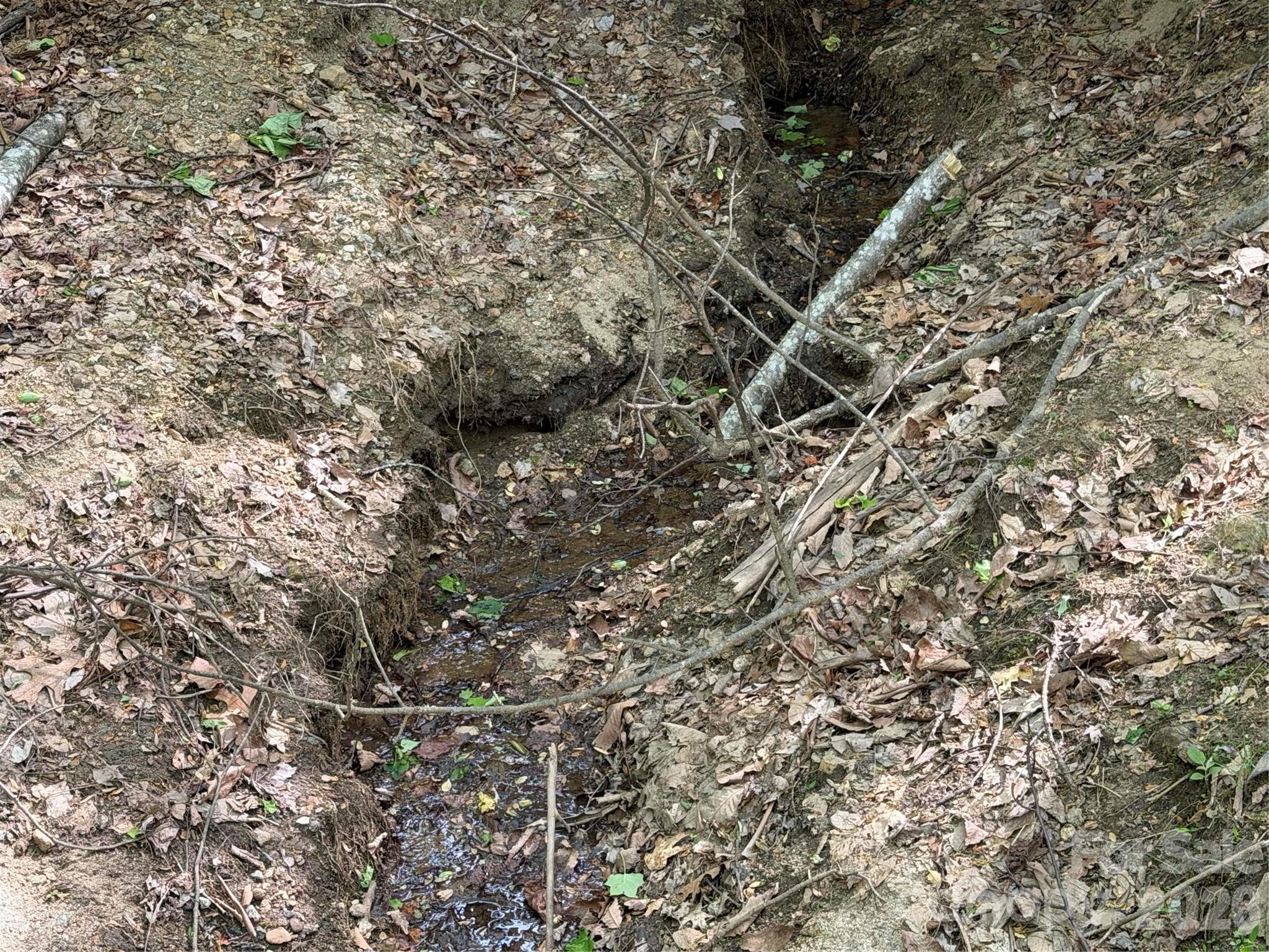 Another small Stream marks the beginning of lot 415. - 00 Lakeview Drive, Tryon