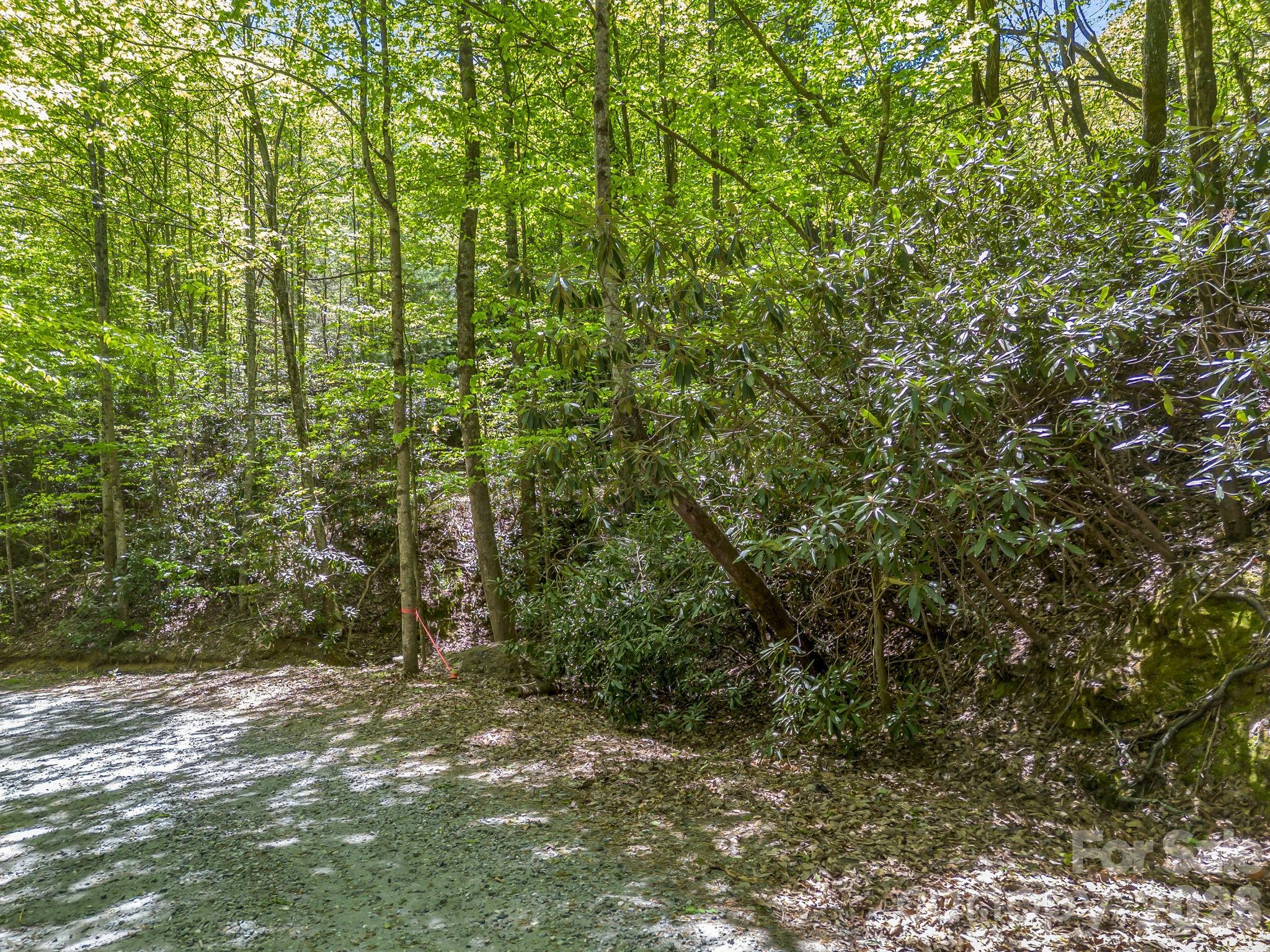 Starting up the hill along lot 415. - 00 Lakeview Drive, Tryon