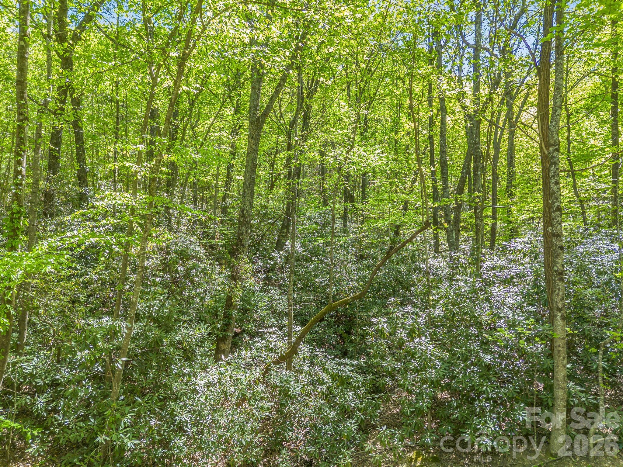 Continuing along road frontage of lot 415. - 00 Lakeview Drive, Tryon