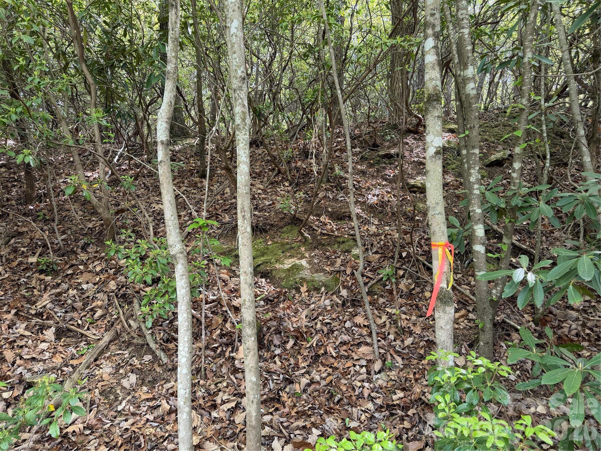 Orange tape marking the right boundary of lot 415. - 00 Lakeview Drive, Tryon