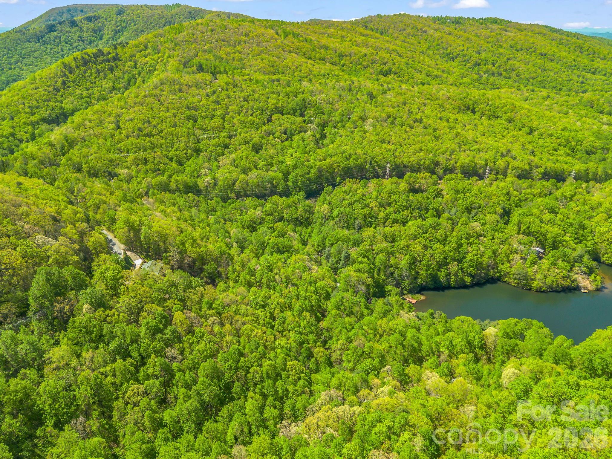 Lot at 00 Lakeview Drive, Tryon, photo 20 of 25