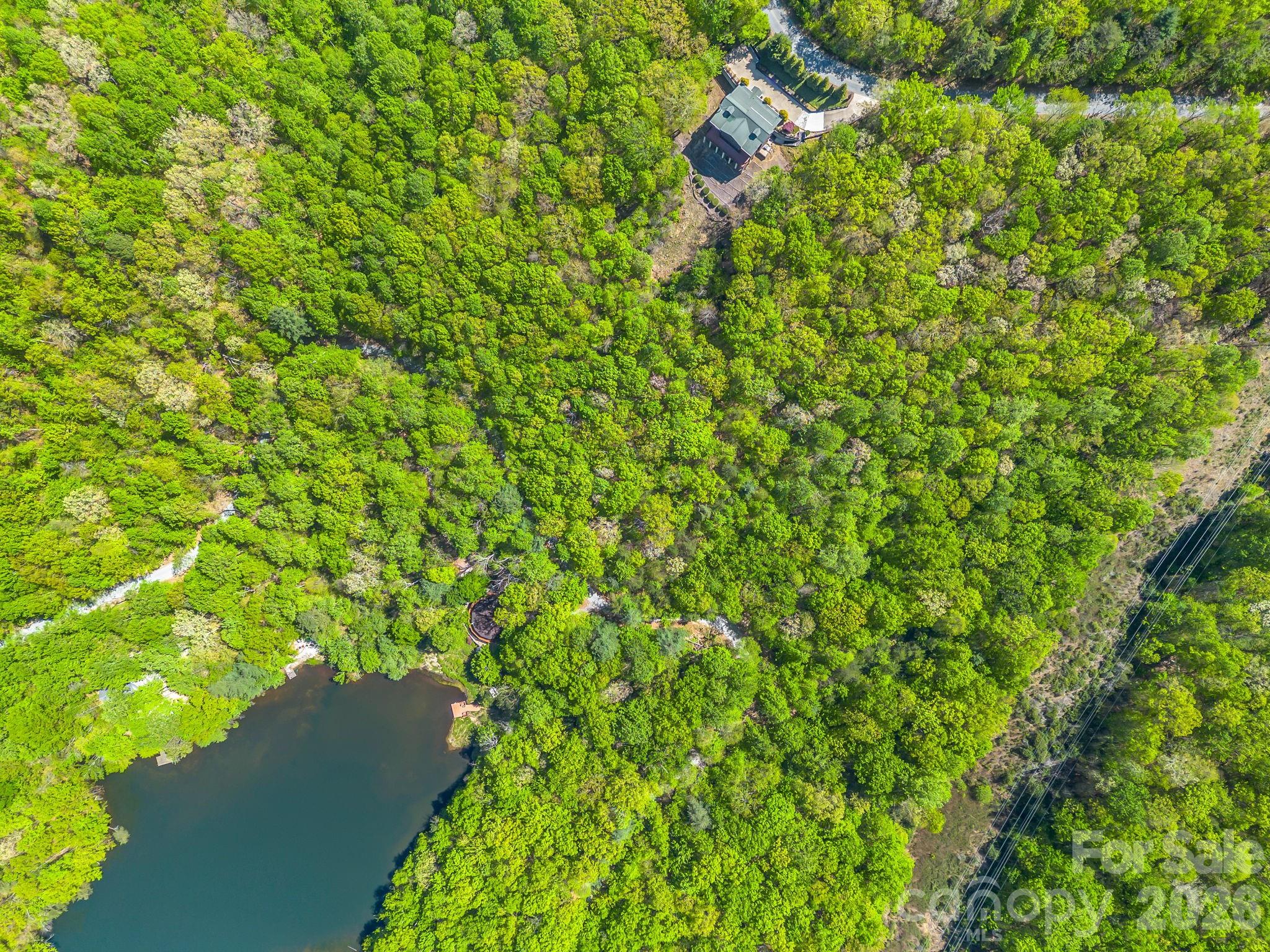 Lot at 00 Lakeview Drive, Tryon, photo 21 of 25