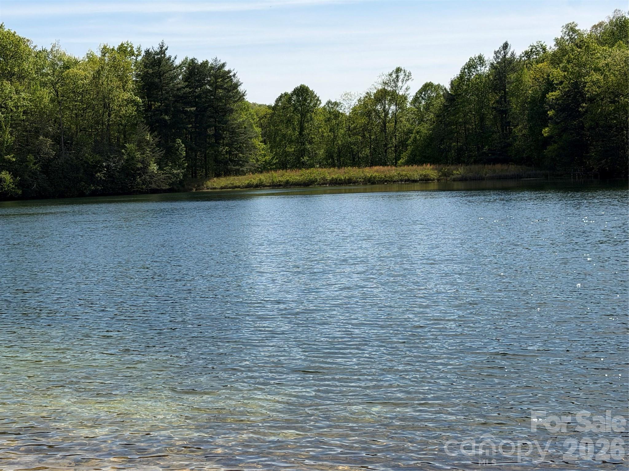 Looking across the swimming lake from the beach. - 00 Lakeview Drive, Tryon