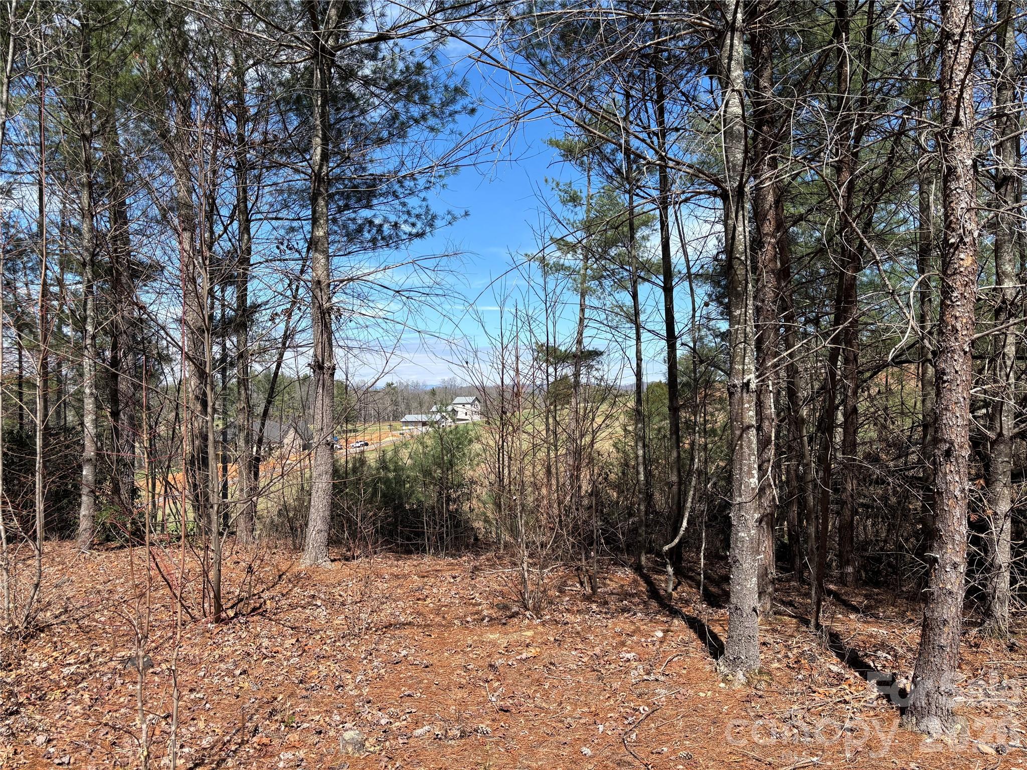 Lot at 2042 Shadow Ridge Trail, Lenoir, photo 2 of 24