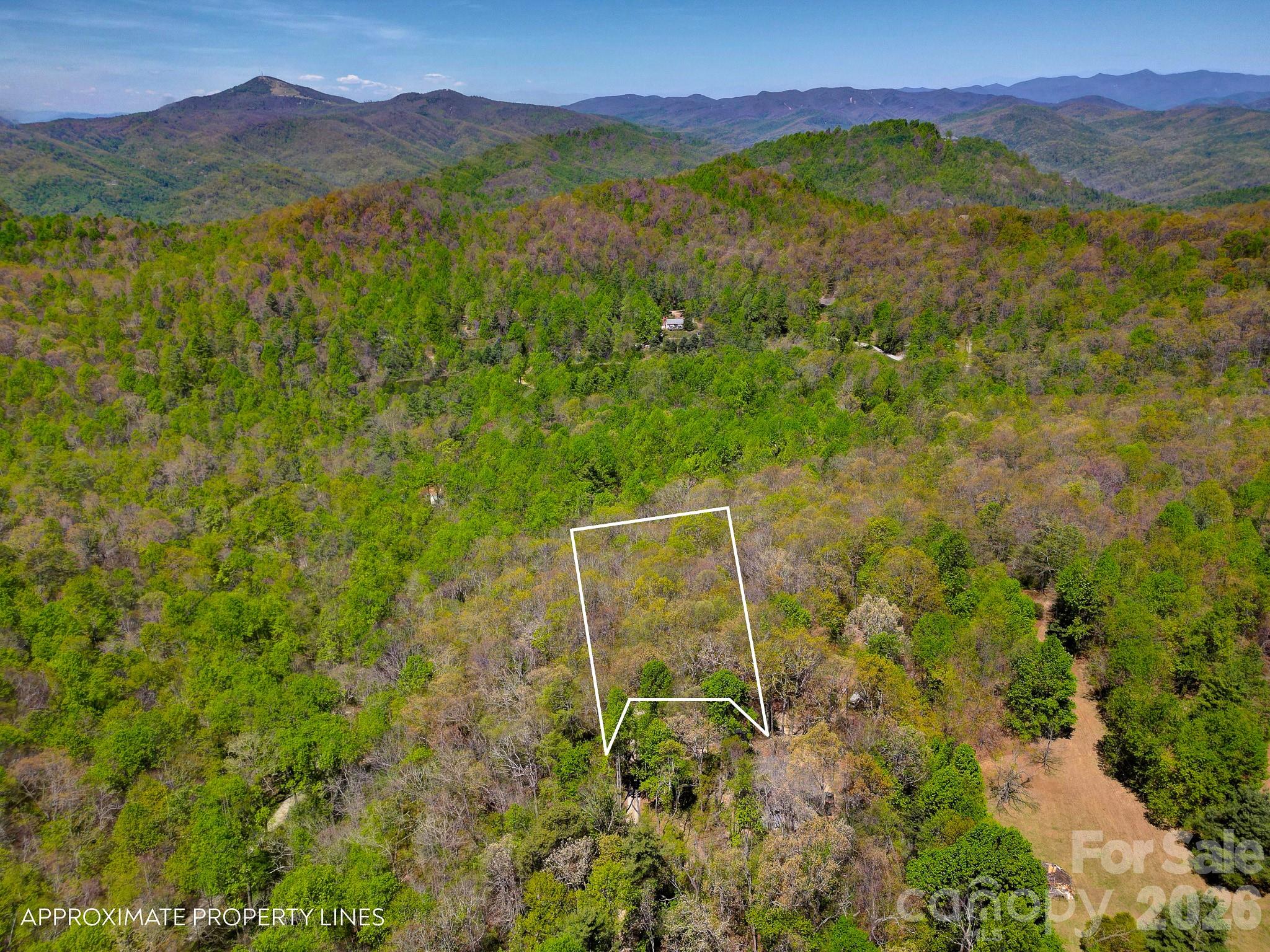 Lot at 99999 Laurel Drive, Black Mountain, photo 2 of 5