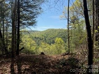 Acreage at 0 GREEN RIVER Road, Zirconia, photo 2 of 27