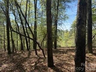 Acreage at 0 GREEN RIVER Road, Zirconia, photo 3 of 27