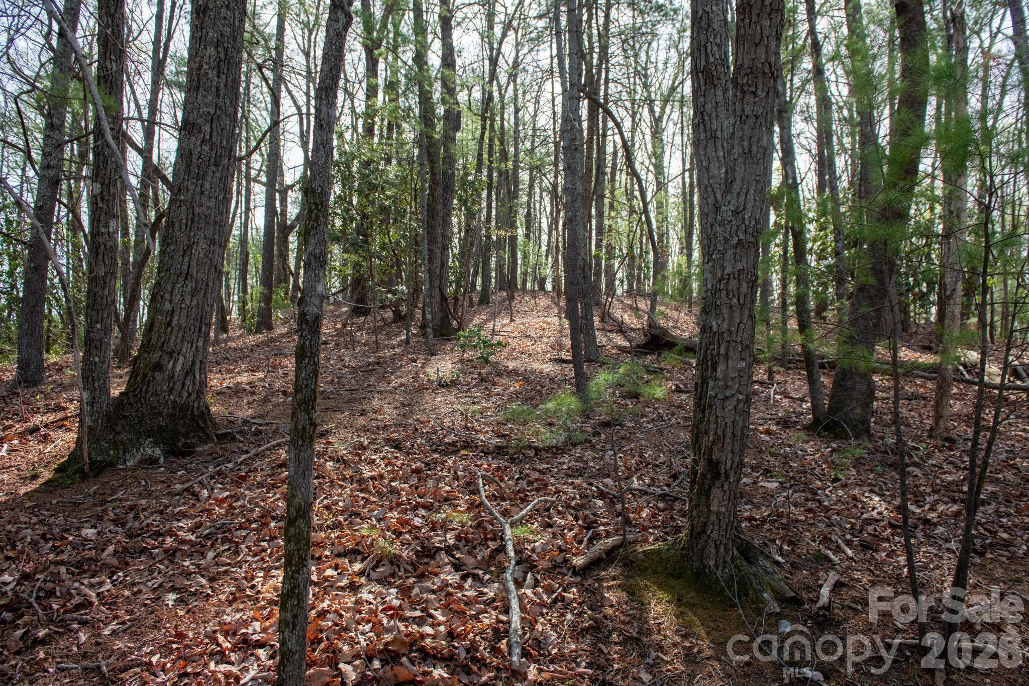 Acreage at 000 Blowing Rock Boulevard, Lenoir, photo 10 of 14