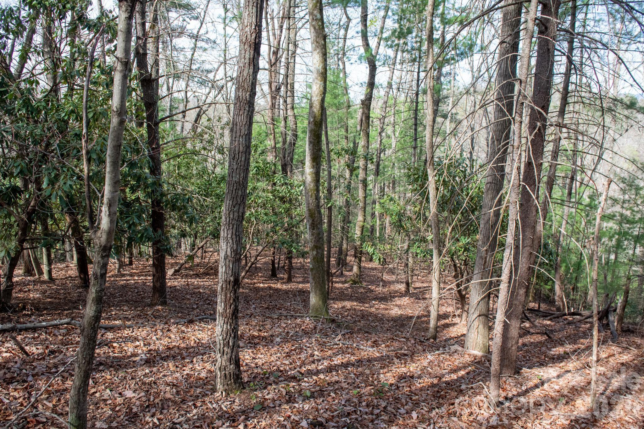 Acreage at 000 Blowing Rock Boulevard, Lenoir, photo 11 of 14