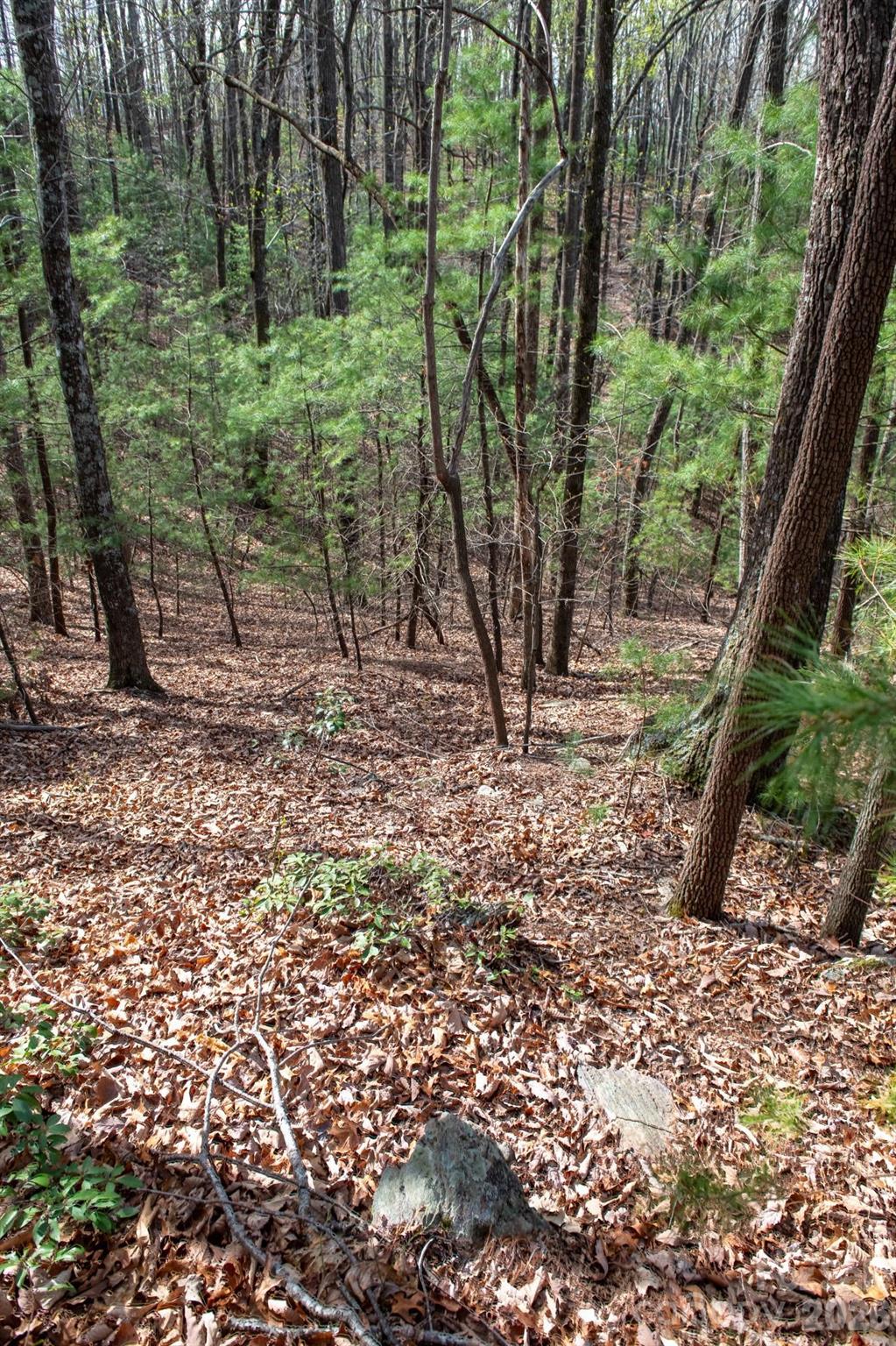 Acreage at 000 Blowing Rock Boulevard, Lenoir, photo 12 of 14