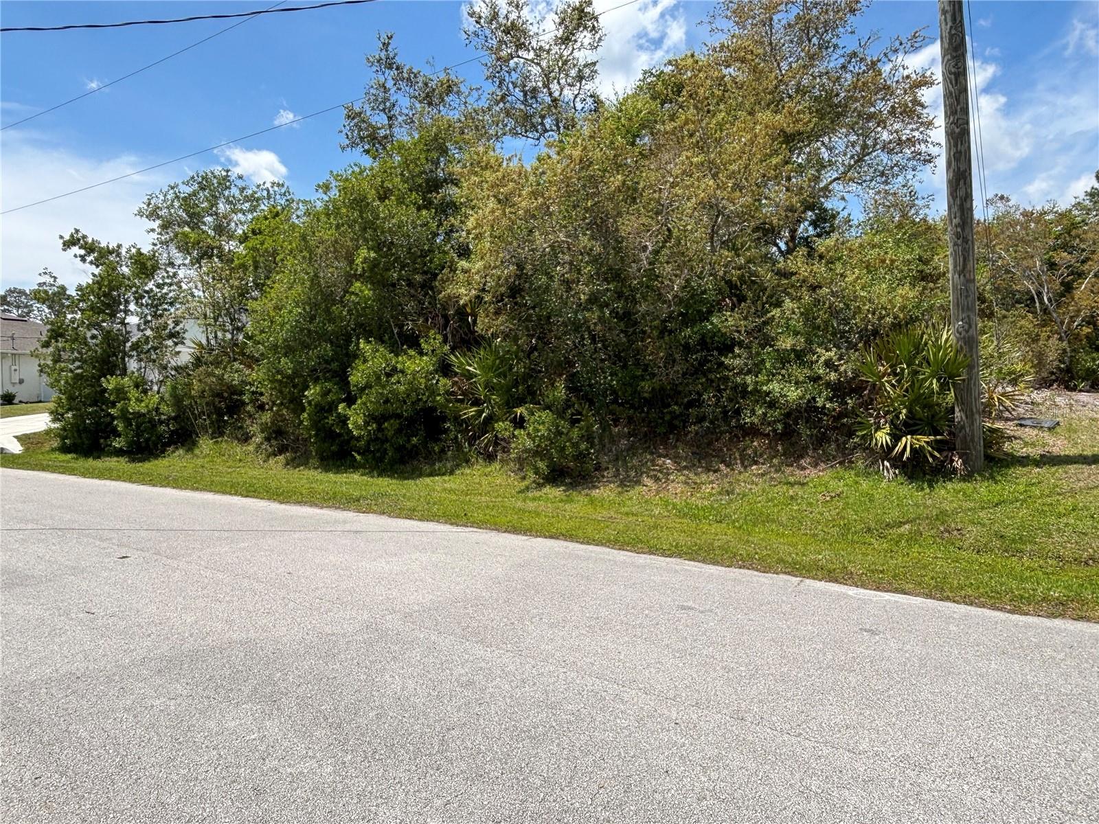 Land at 28 FALLWOOD LN, PALM COAST, photo 4 of 4