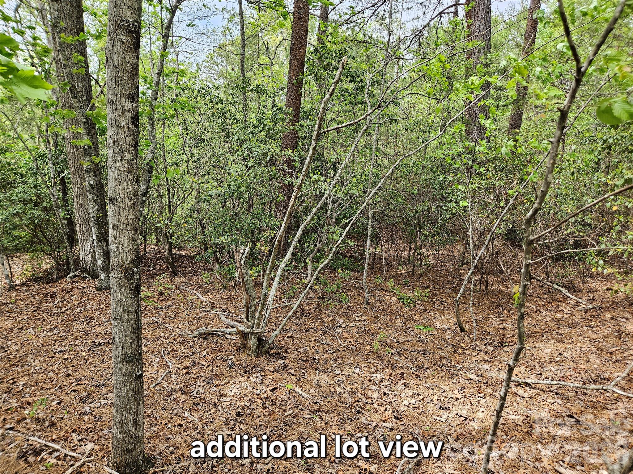 Lot at 81 N Mill Ridge Road, Nebo, photo 2 of 47