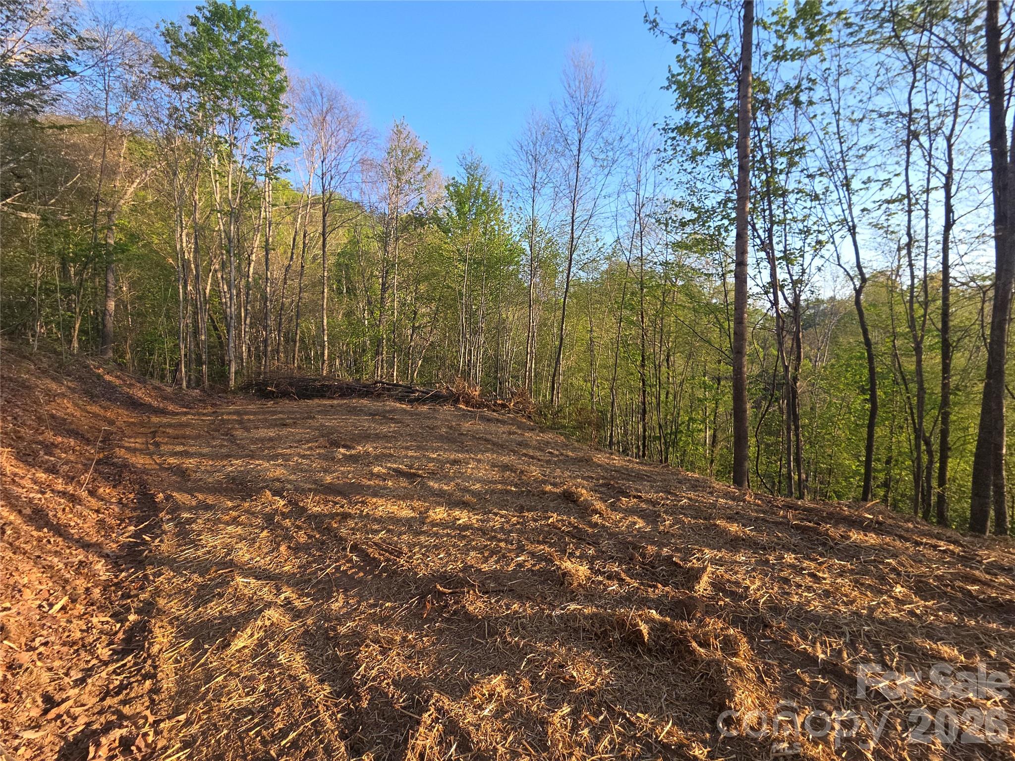 Lot at 3355 Utah Mountain Road, Waynesville, photo 2 of 26