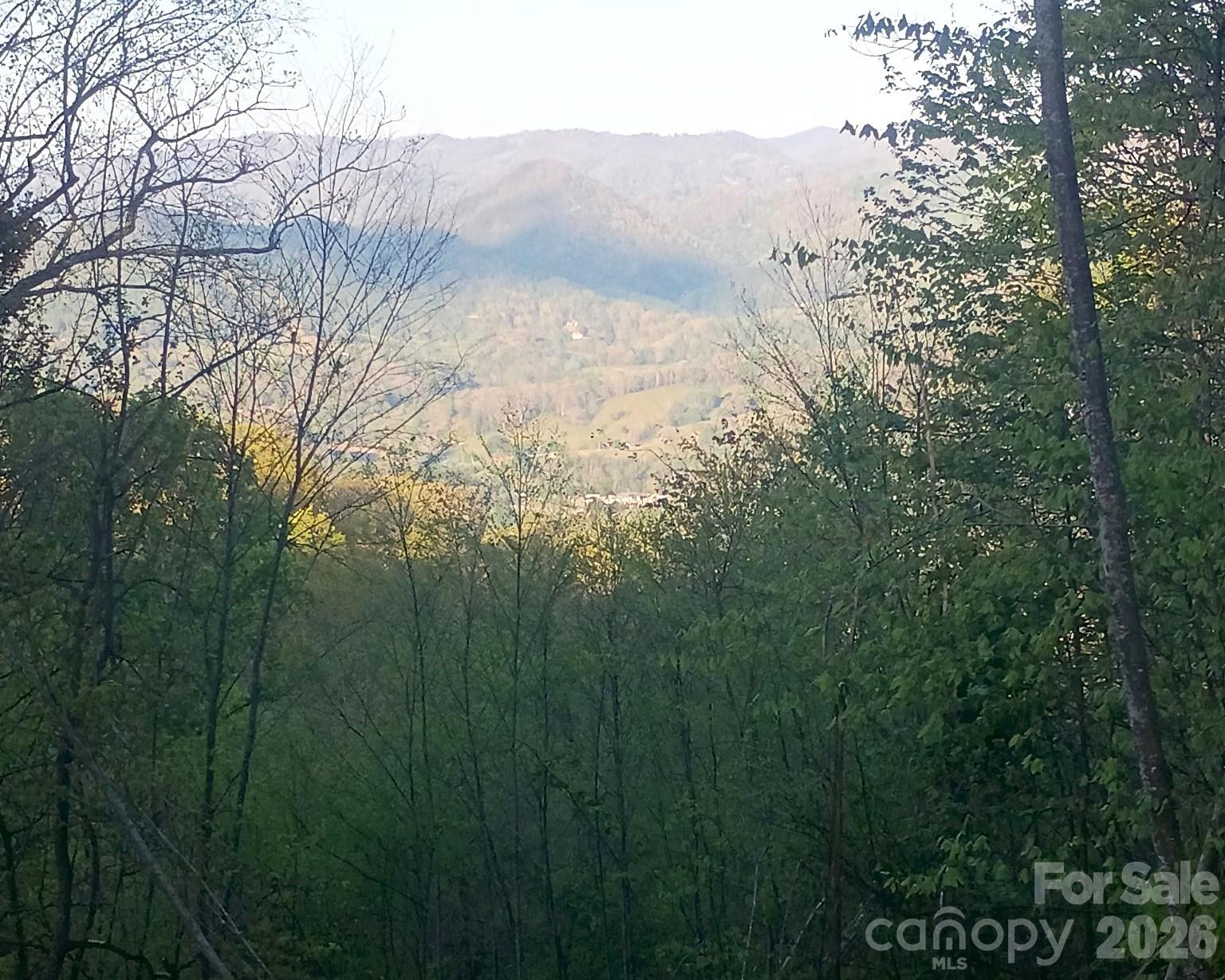 Lot at 3355 Utah Mountain Road, Waynesville, photo 5 of 26