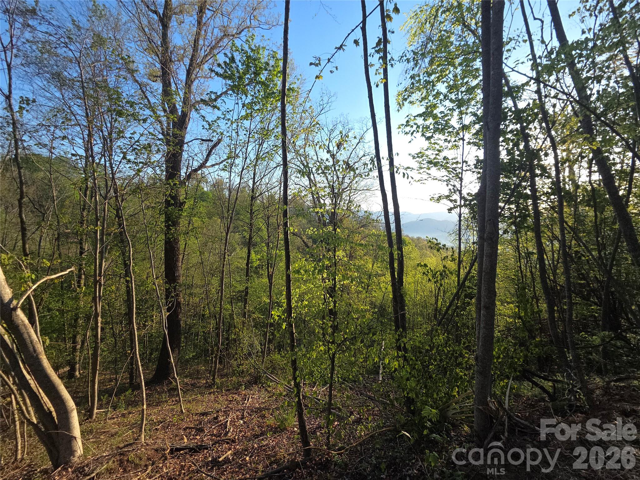 Lot at 3355 Utah Mountain Road, Waynesville, photo 10 of 26