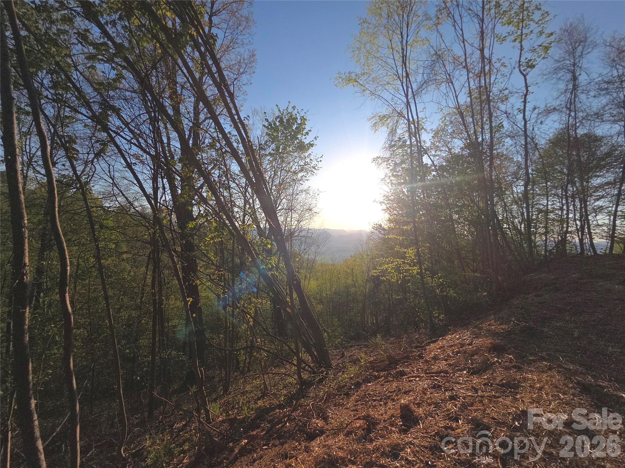 Lot at 3355 Utah Mountain Road, Waynesville, photo 15 of 26