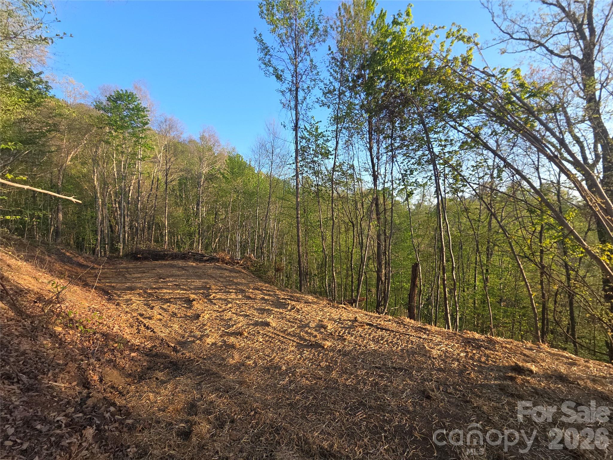 Lot at 3355 Utah Mountain Road, Waynesville, photo 3 of 26