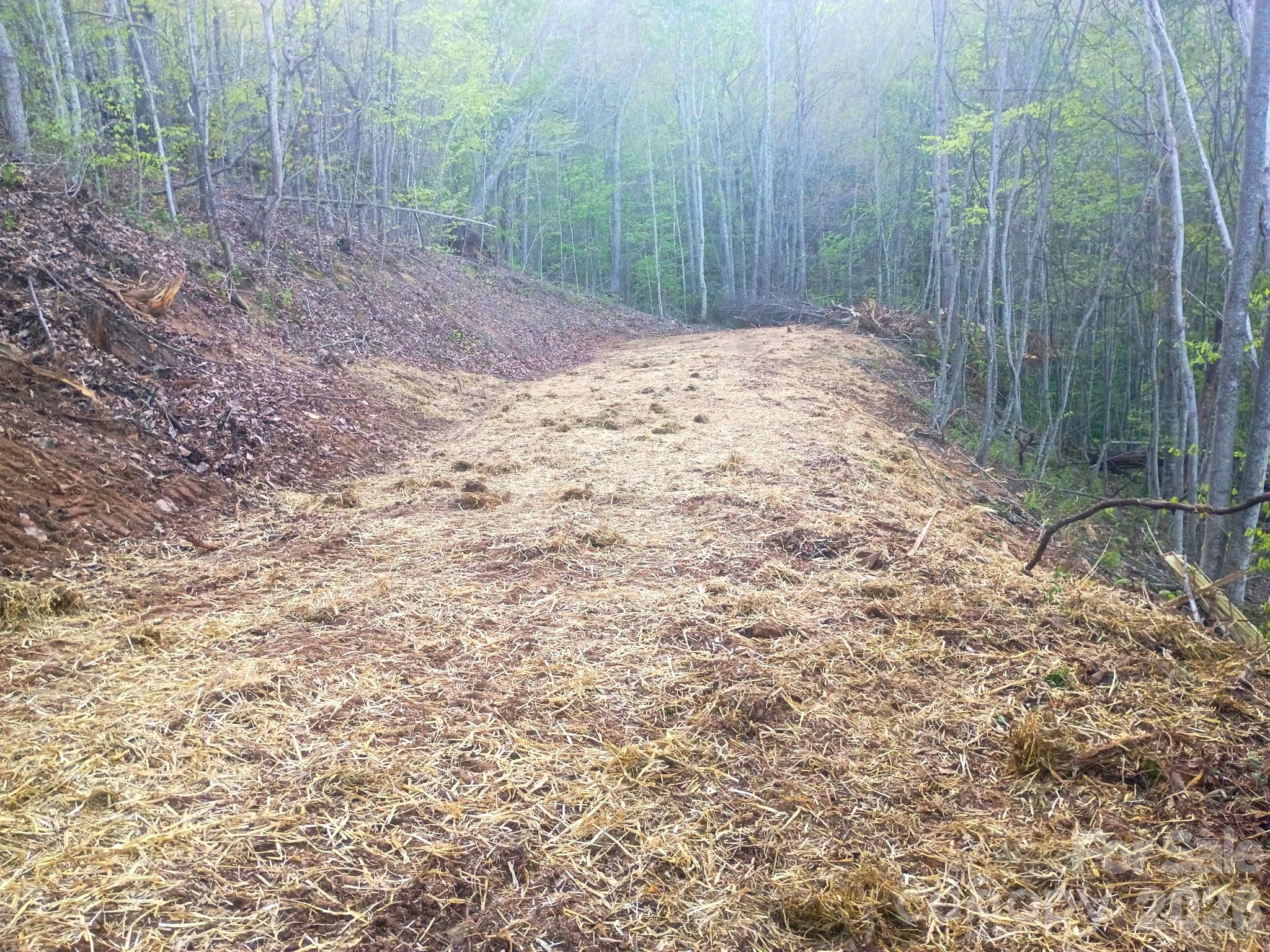 Lot at 3355 Utah Mountain Road, Waynesville, photo 16 of 26