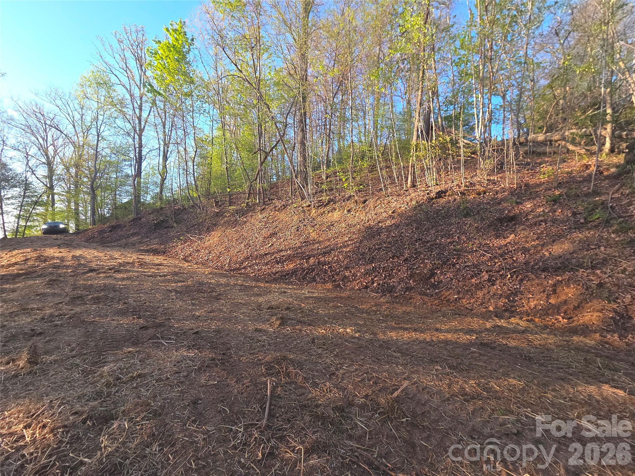 Lot at 3355 Utah Mountain Road, Waynesville, photo 19 of 26