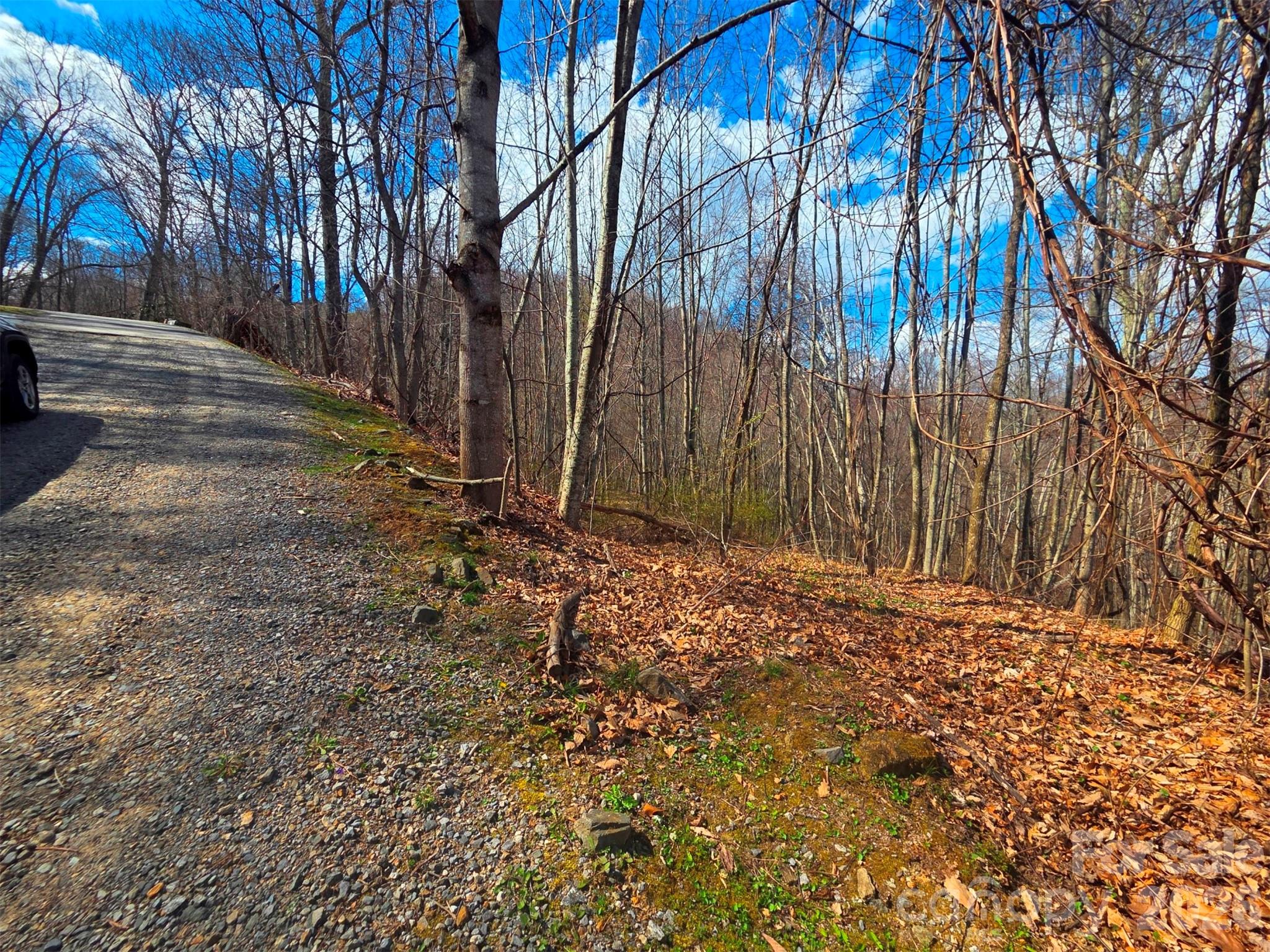 Lot at 3355 Utah Mountain Road, Waynesville, photo 21 of 26