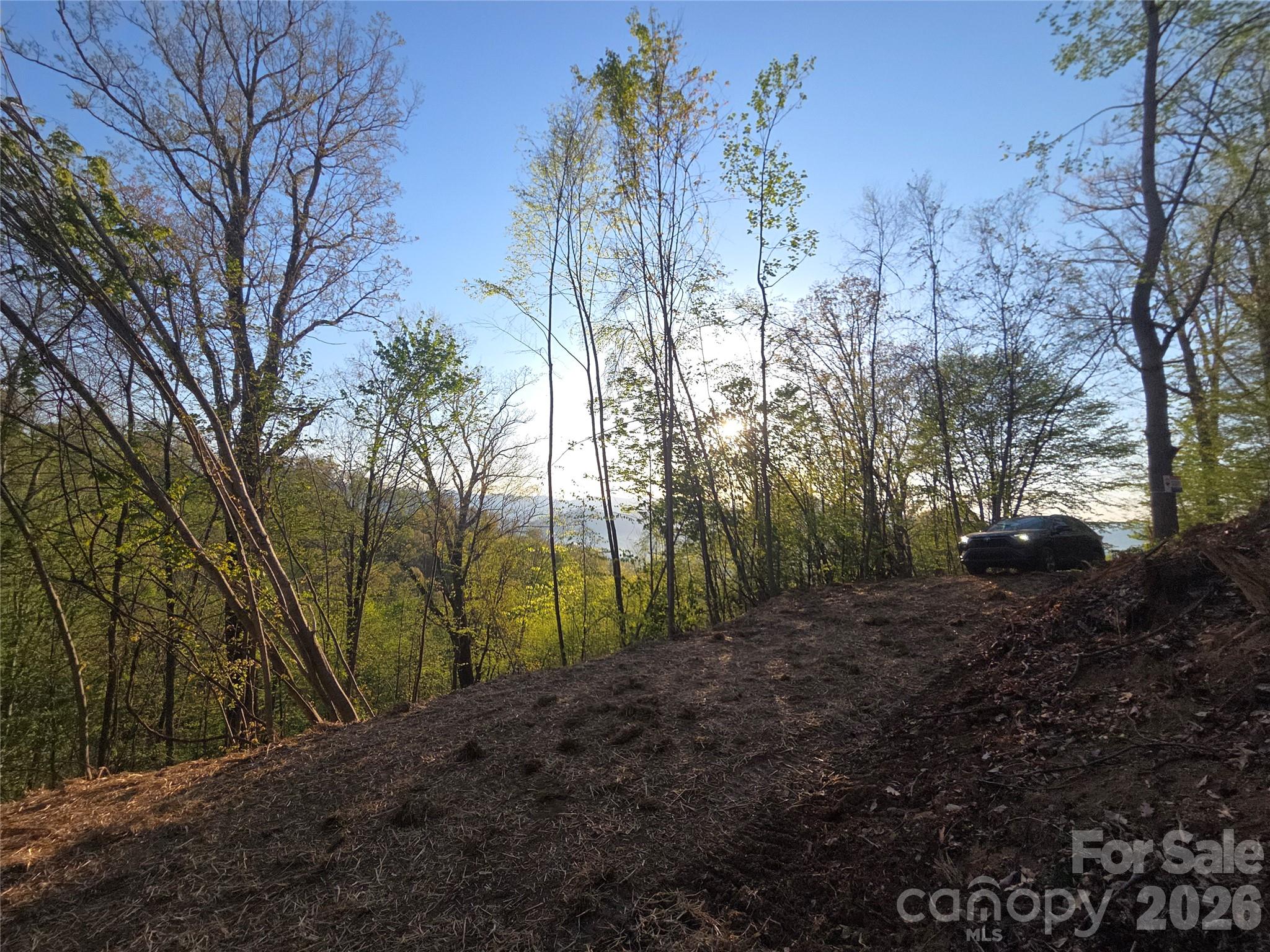 Lot at 3355 Utah Mountain Road, Waynesville, photo 23 of 26