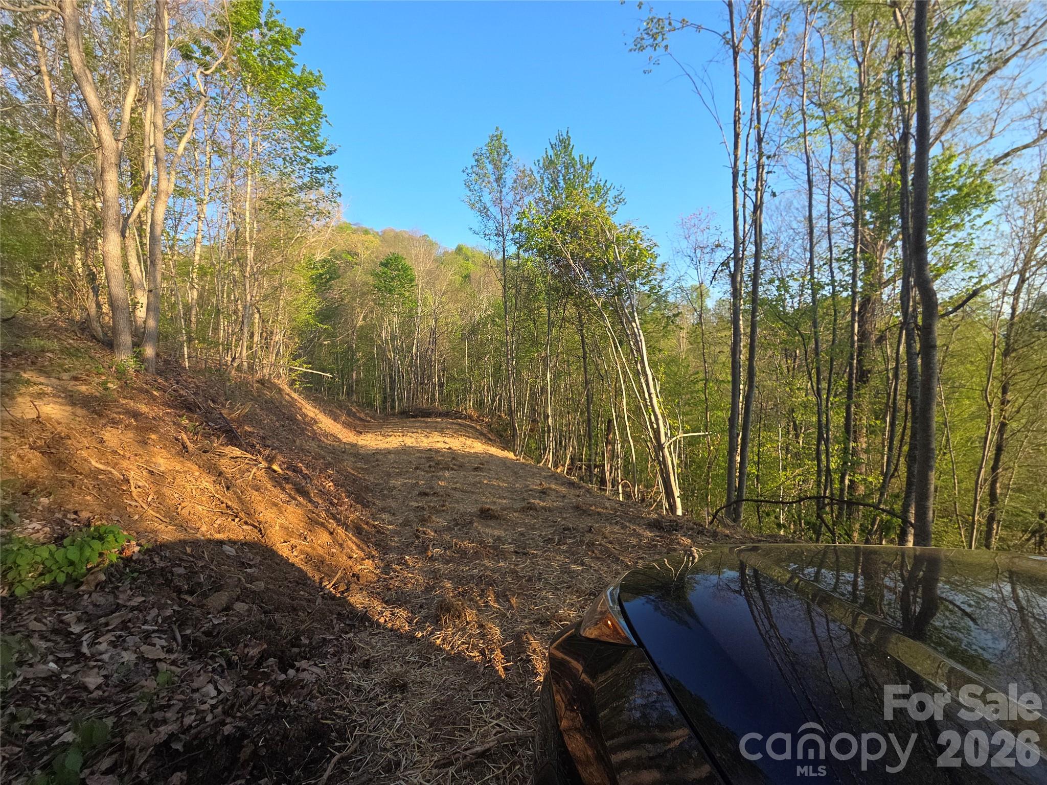 Lot at 3355 Utah Mountain Road, Waynesville, photo 24 of 26