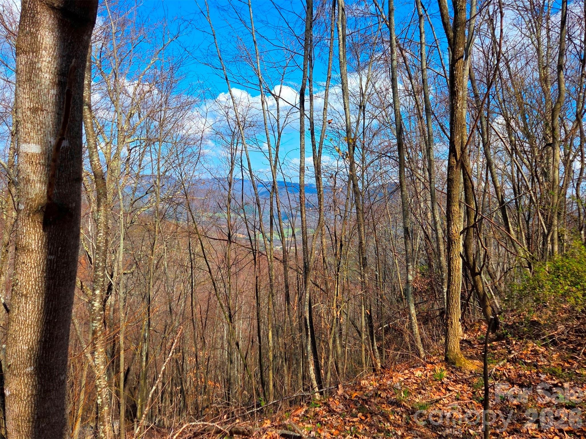 Lot at 3355 Utah Mountain Road, Waynesville, photo 25 of 26