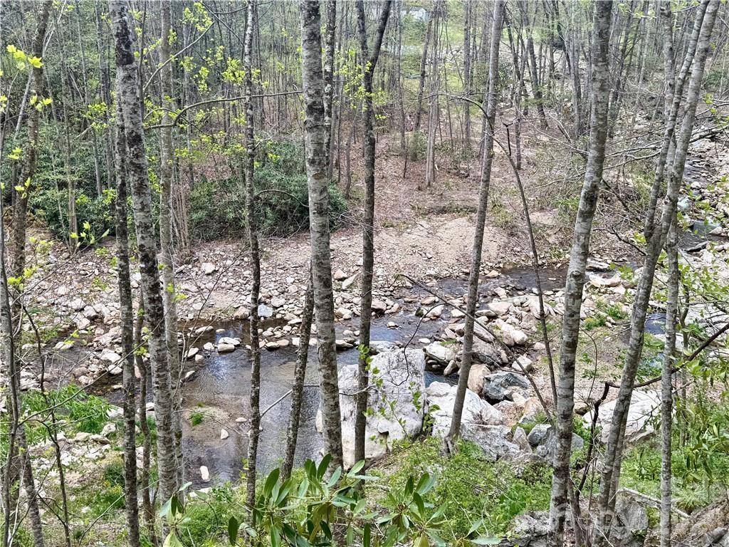 Acreage at TBD Buckeye Road, Elk Park, photo 10 of 10