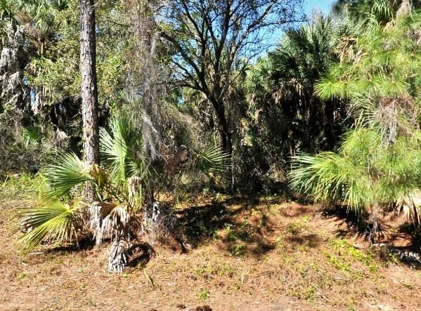 Land at LOT 20 BLK 1749 34TH ADD TO PORT CHARLOTTE, NORTH PORT, photo 2 of 3