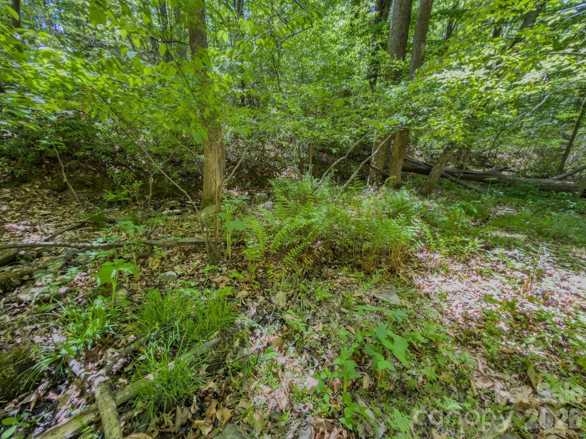 Acreage at 0 Sunset Drive N, Asheboro, photo 6 of 48