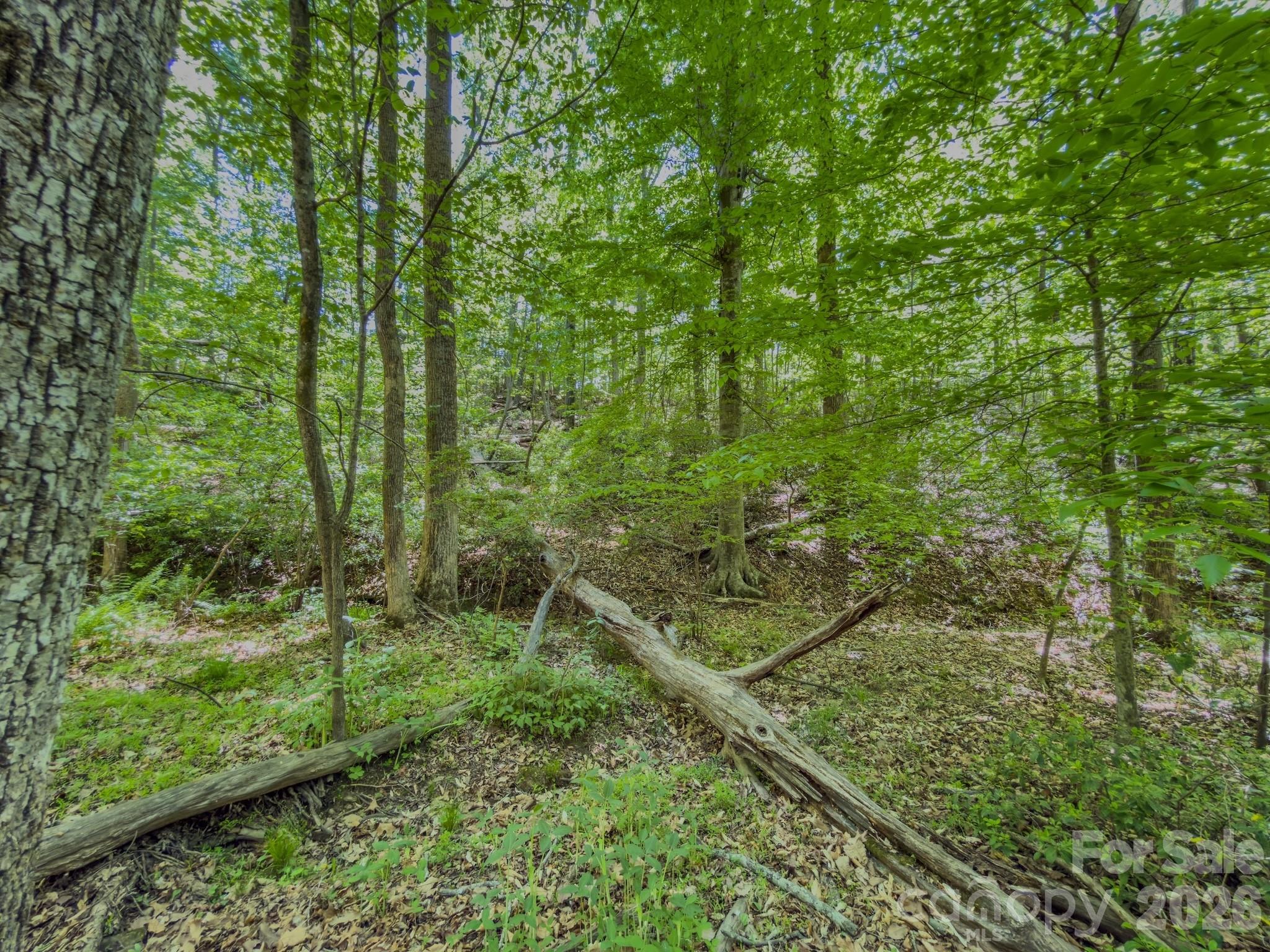 Acreage at 0 Sunset Drive N, Asheboro, photo 8 of 48