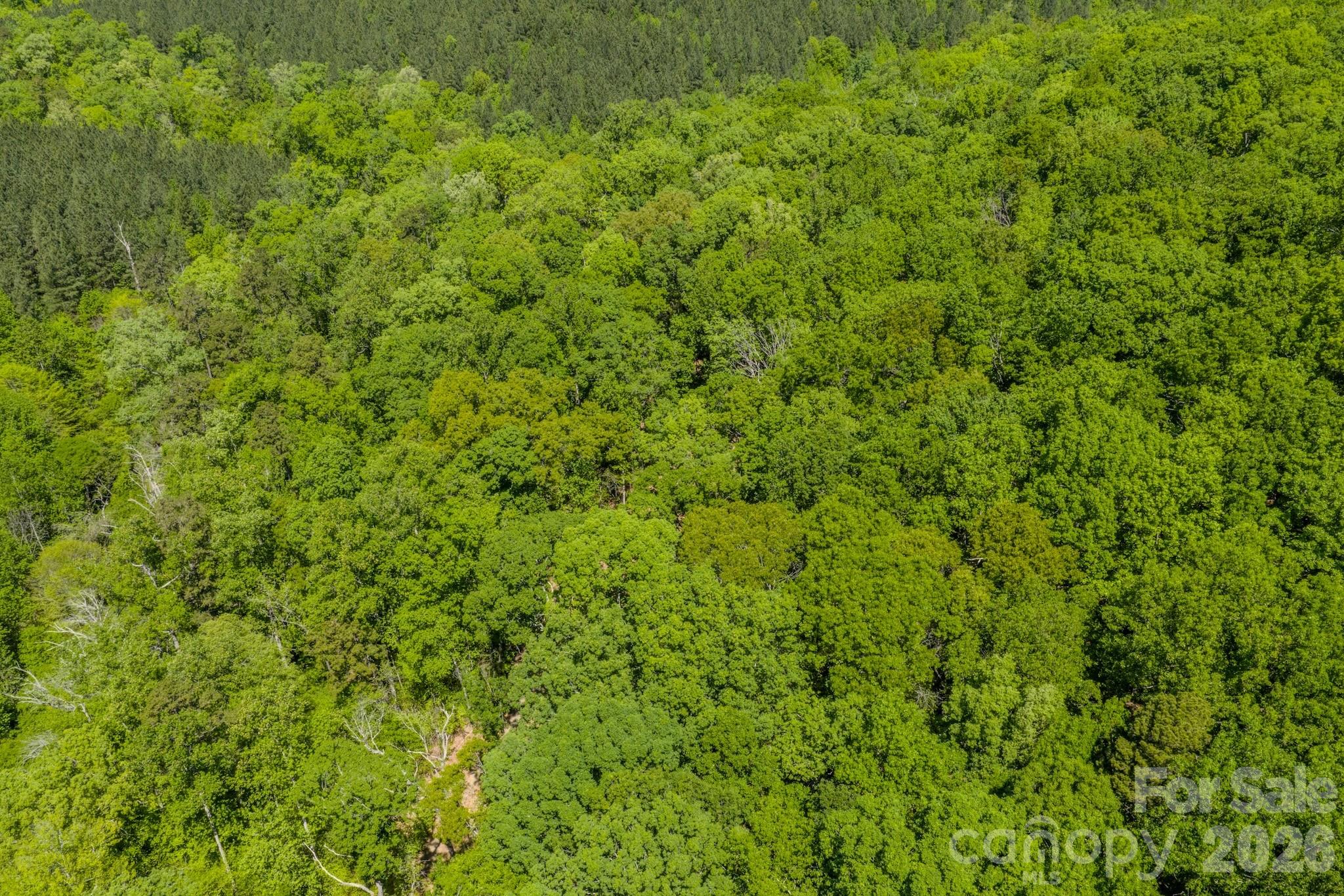 Acreage at 0 Sunset Drive N, Asheboro, photo 19 of 48