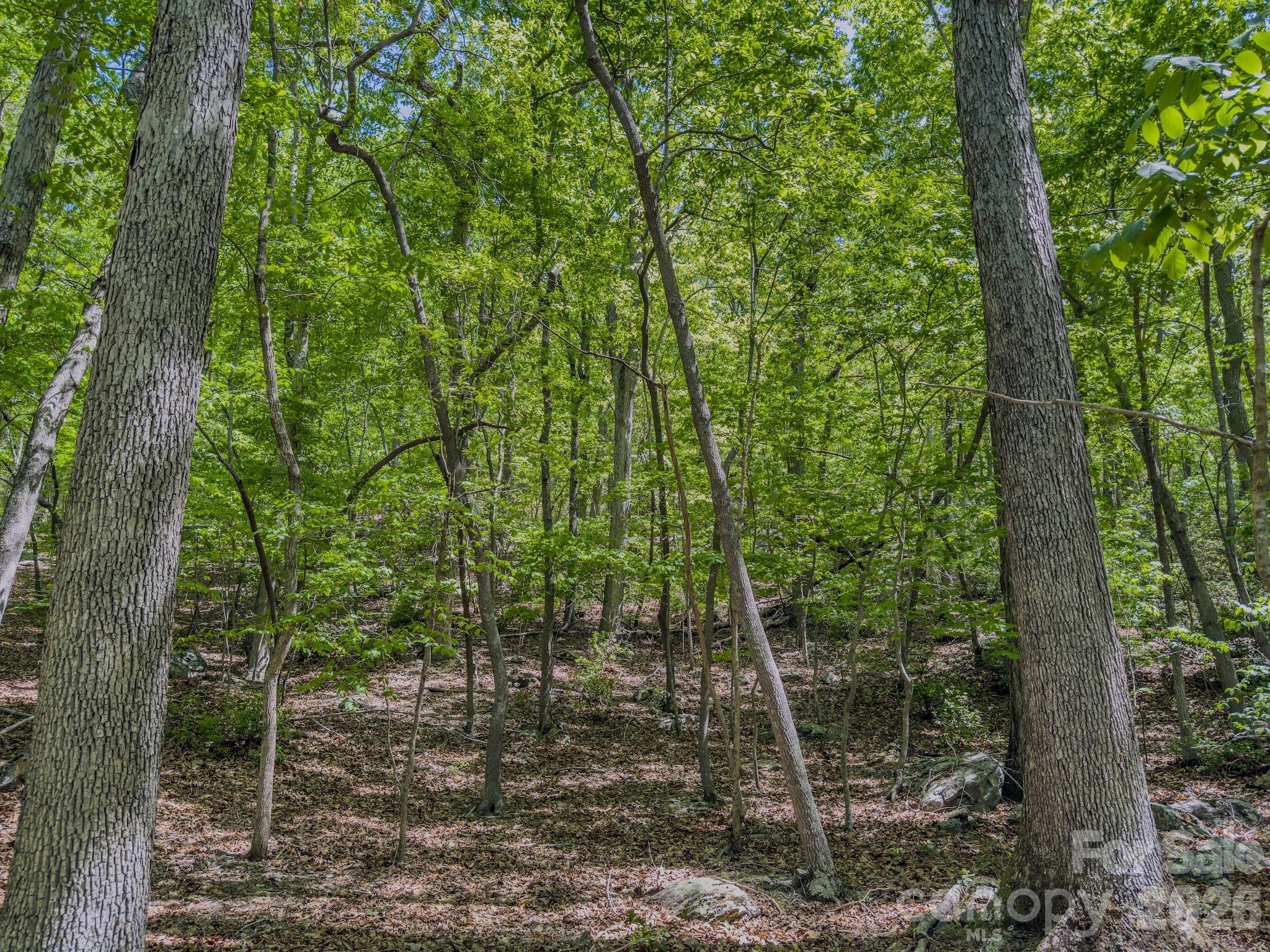 Acreage at 0 Sunset Drive N, Asheboro, photo 26 of 48