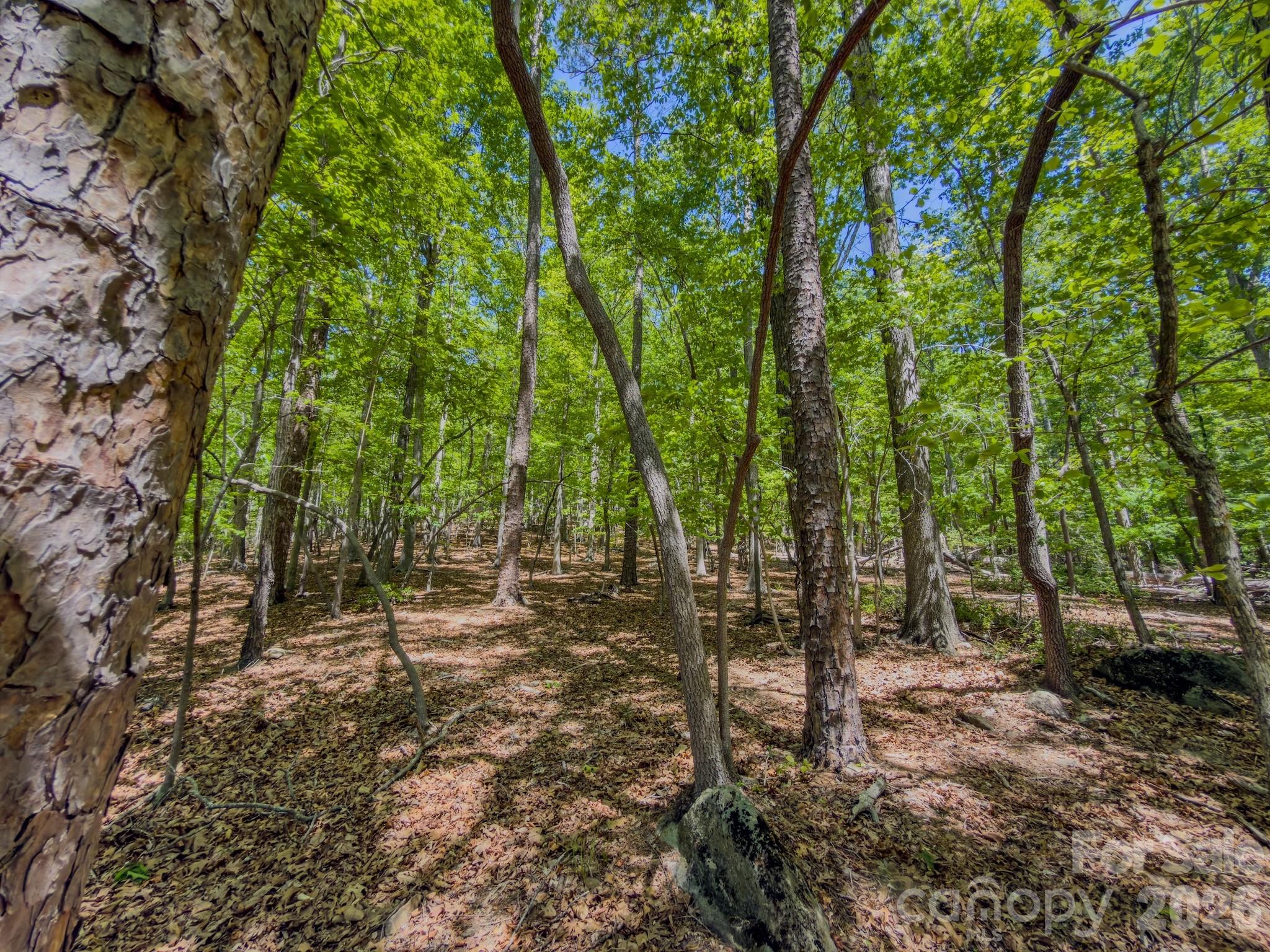 Acreage at 0 Sunset Drive N, Asheboro, photo 28 of 48