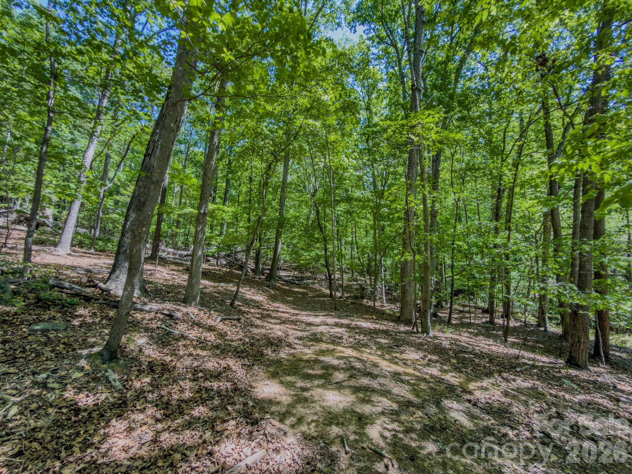 Acreage at 0 Sunset Drive N, Asheboro, photo 29 of 48