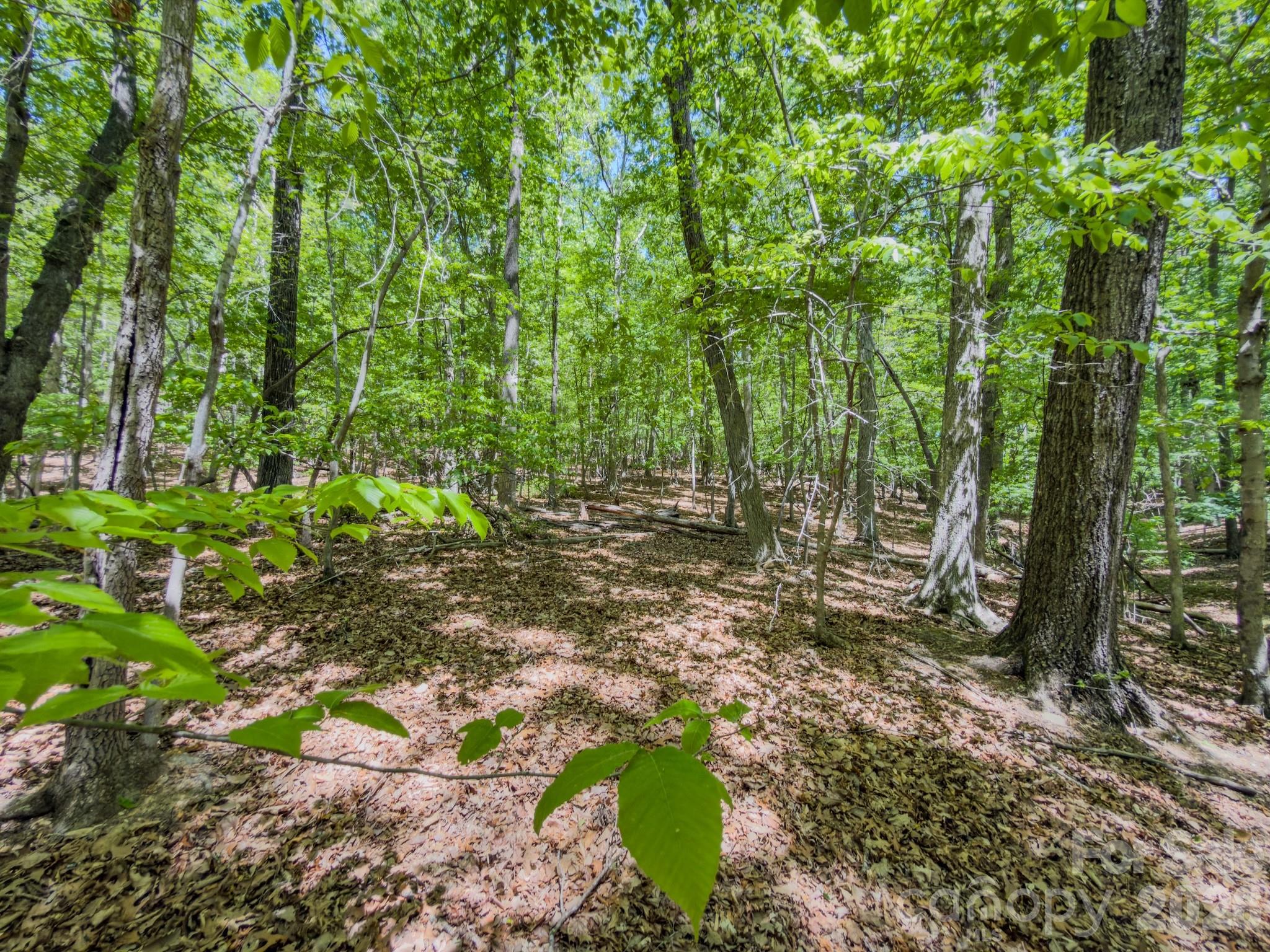Acreage at 0 Sunset Drive N, Asheboro, photo 42 of 48