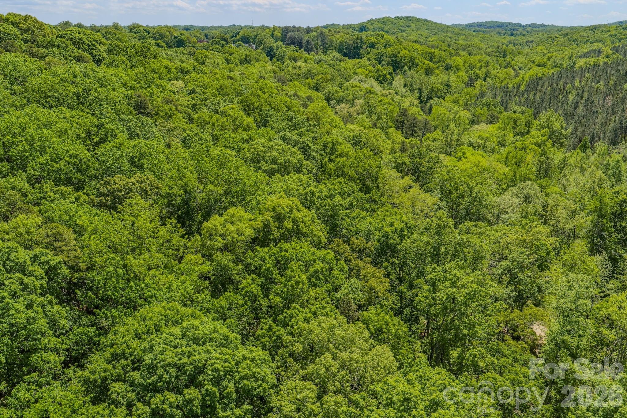 Acreage at 0 Sunset Drive N, Asheboro, photo 44 of 48
