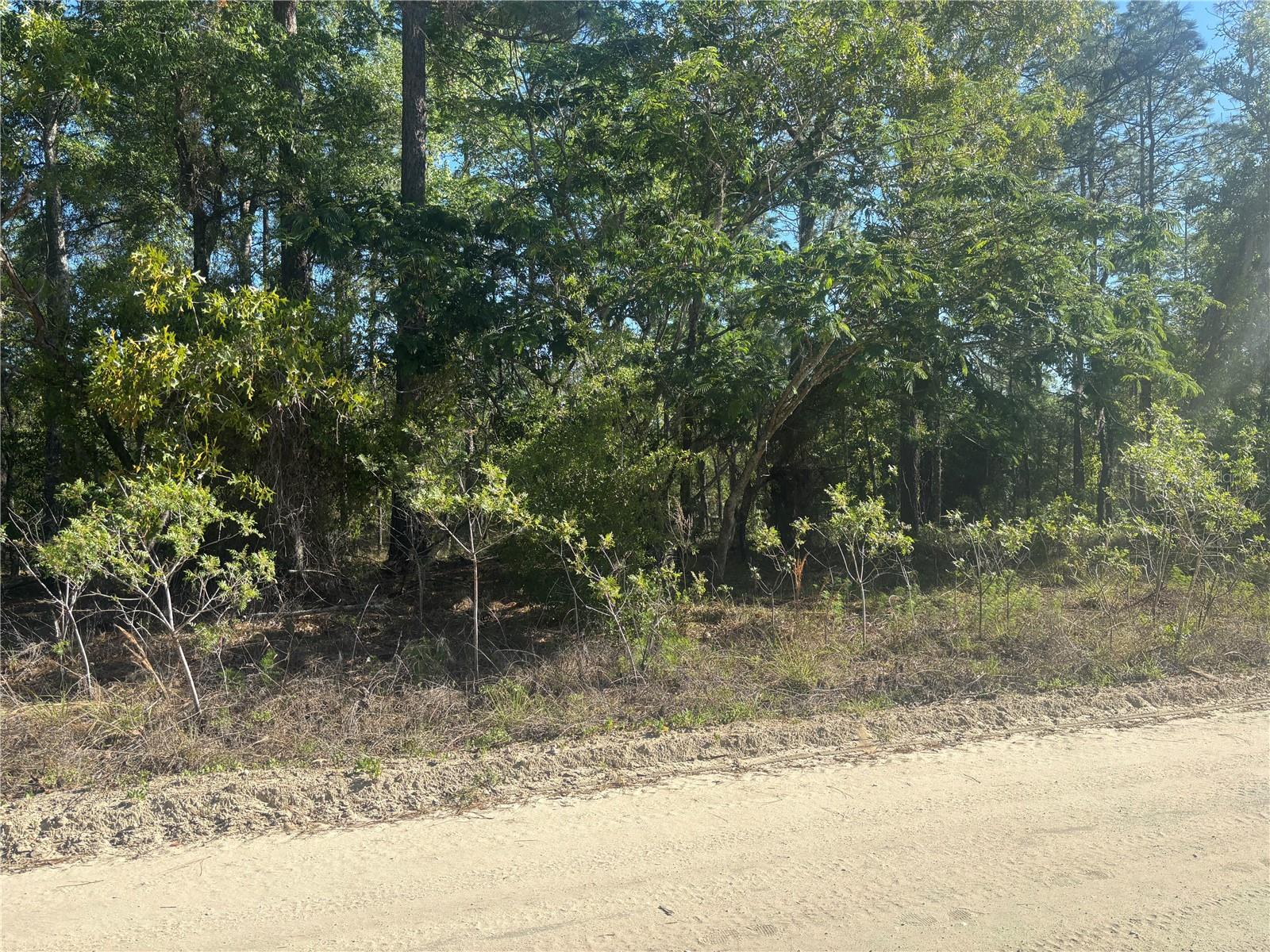 0000 SW 8TH PL