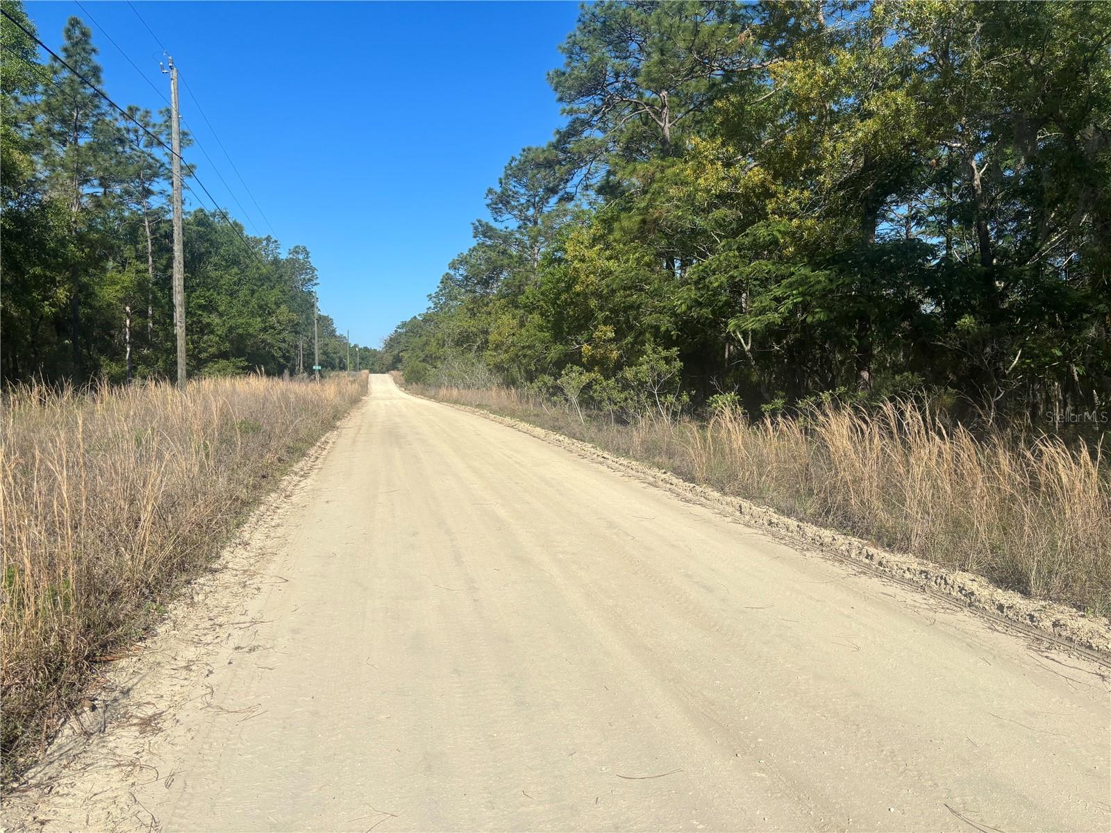 Land at 0000 SW 8TH PL, OCALA, photo 4 of 4